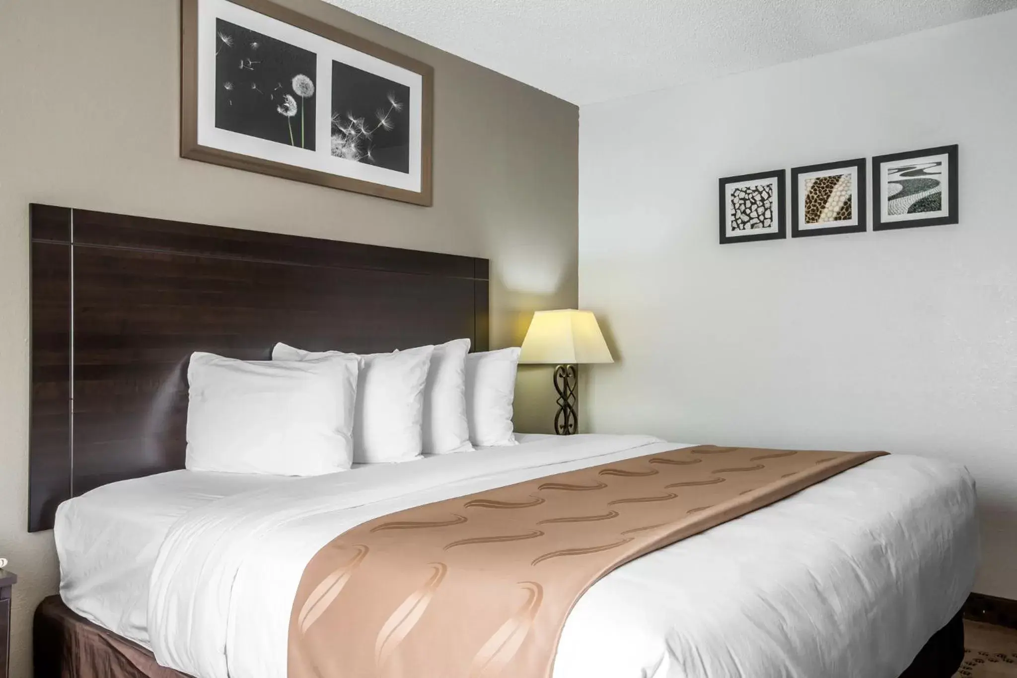 Bed, Room Photo in Quality Inn Stockbridge Atlanta South