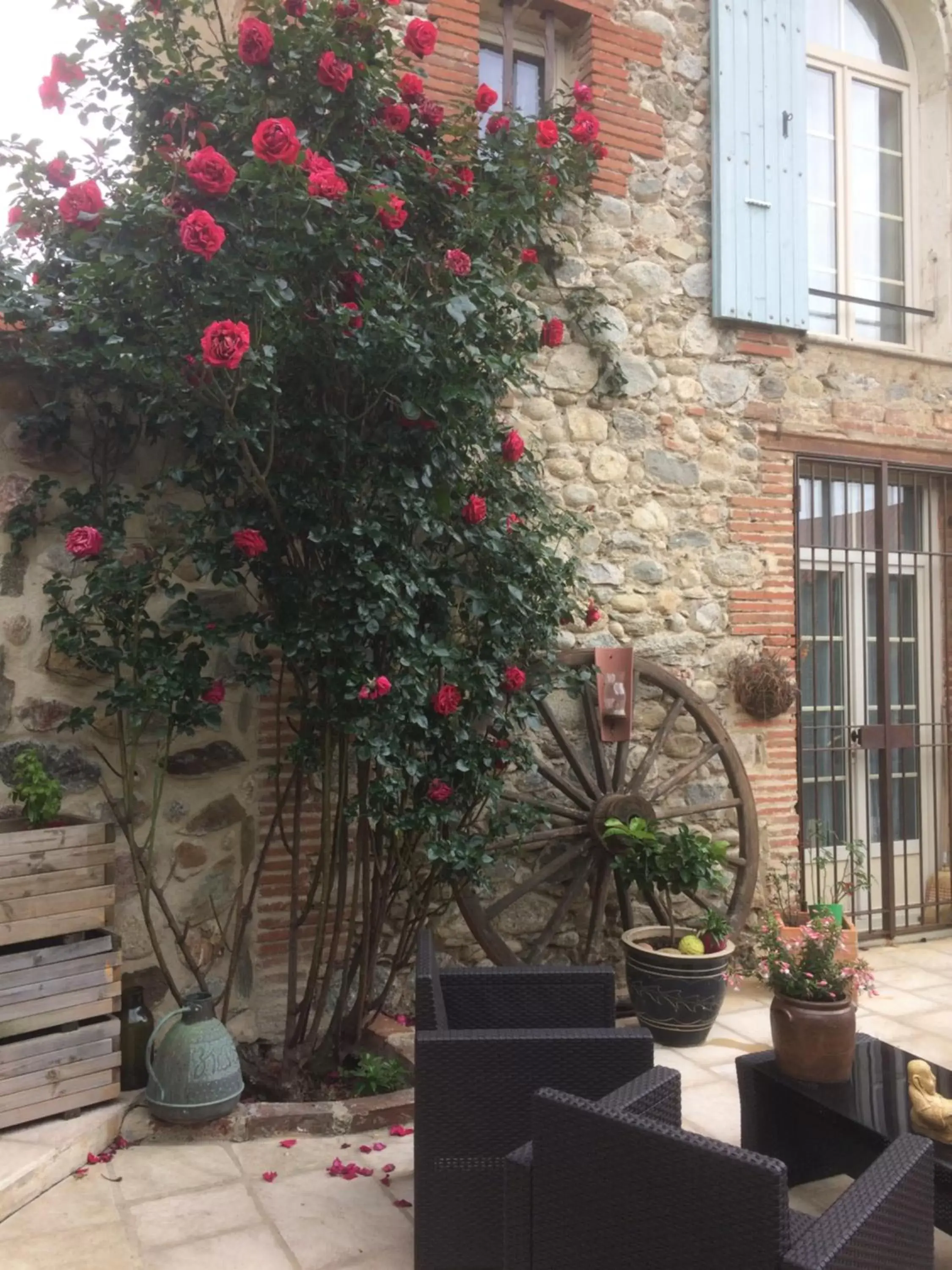 Patio in Domaine De La Tannerie