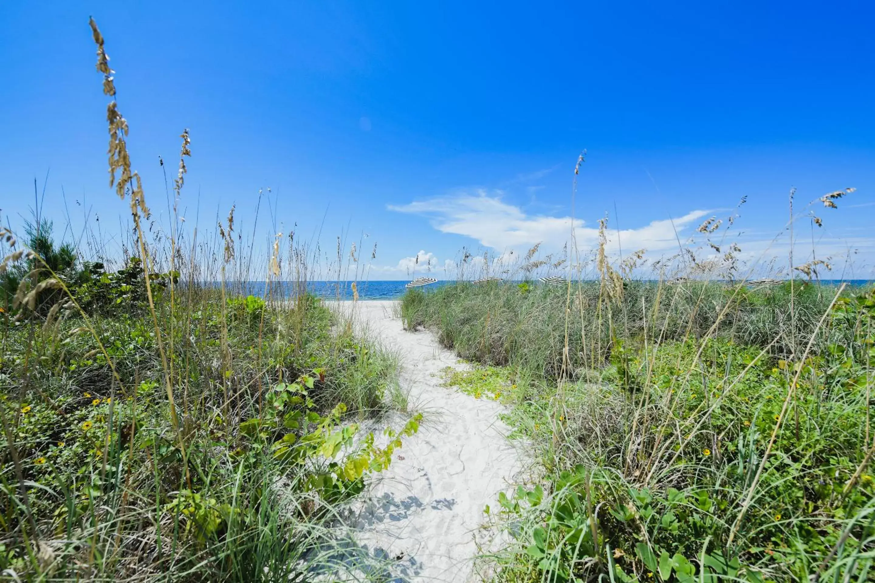 Casey Key Resorts - Beachfront