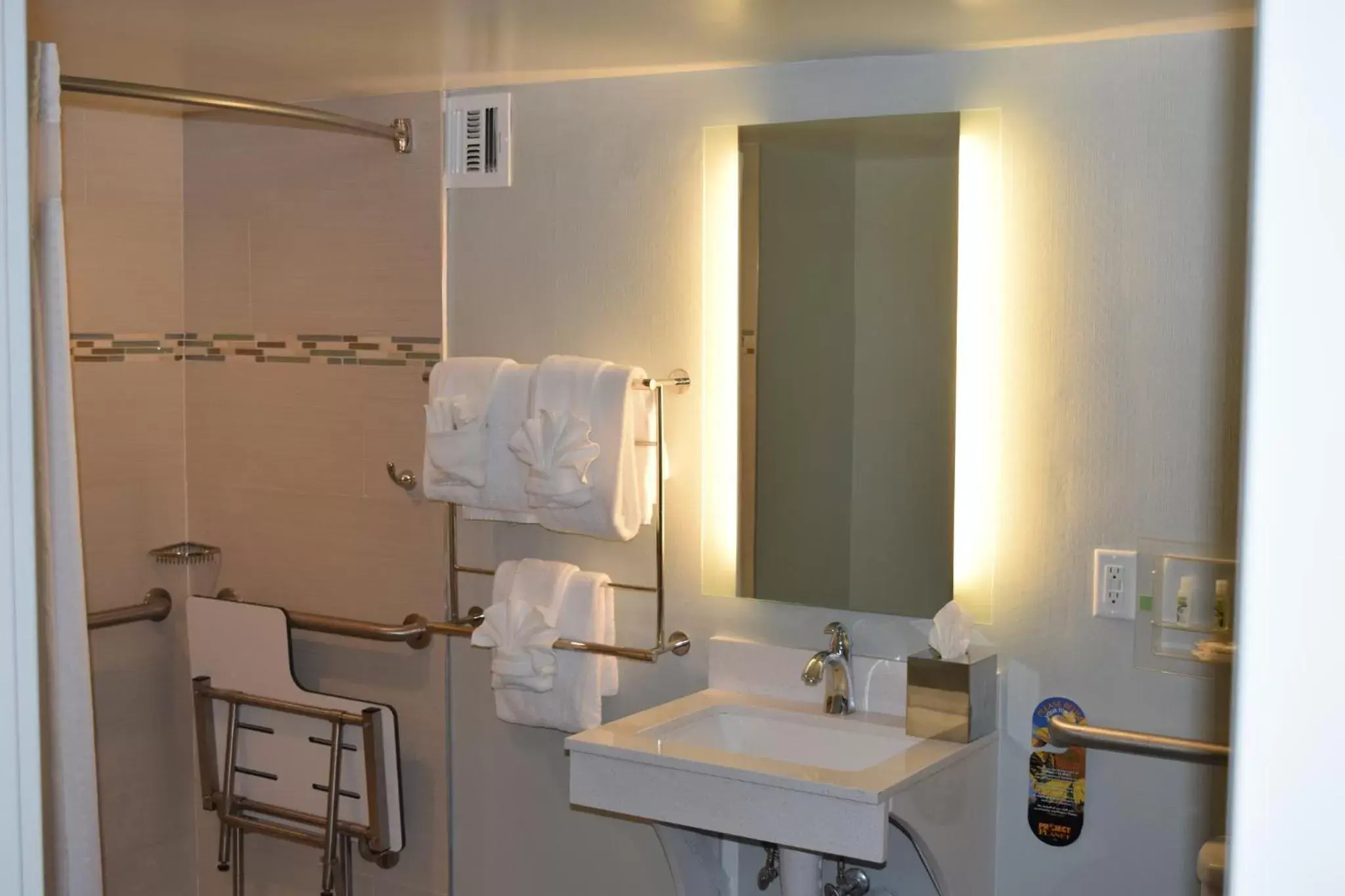 Bathroom in Holiday Inn University Area Charlottesville, an IHG Hotel