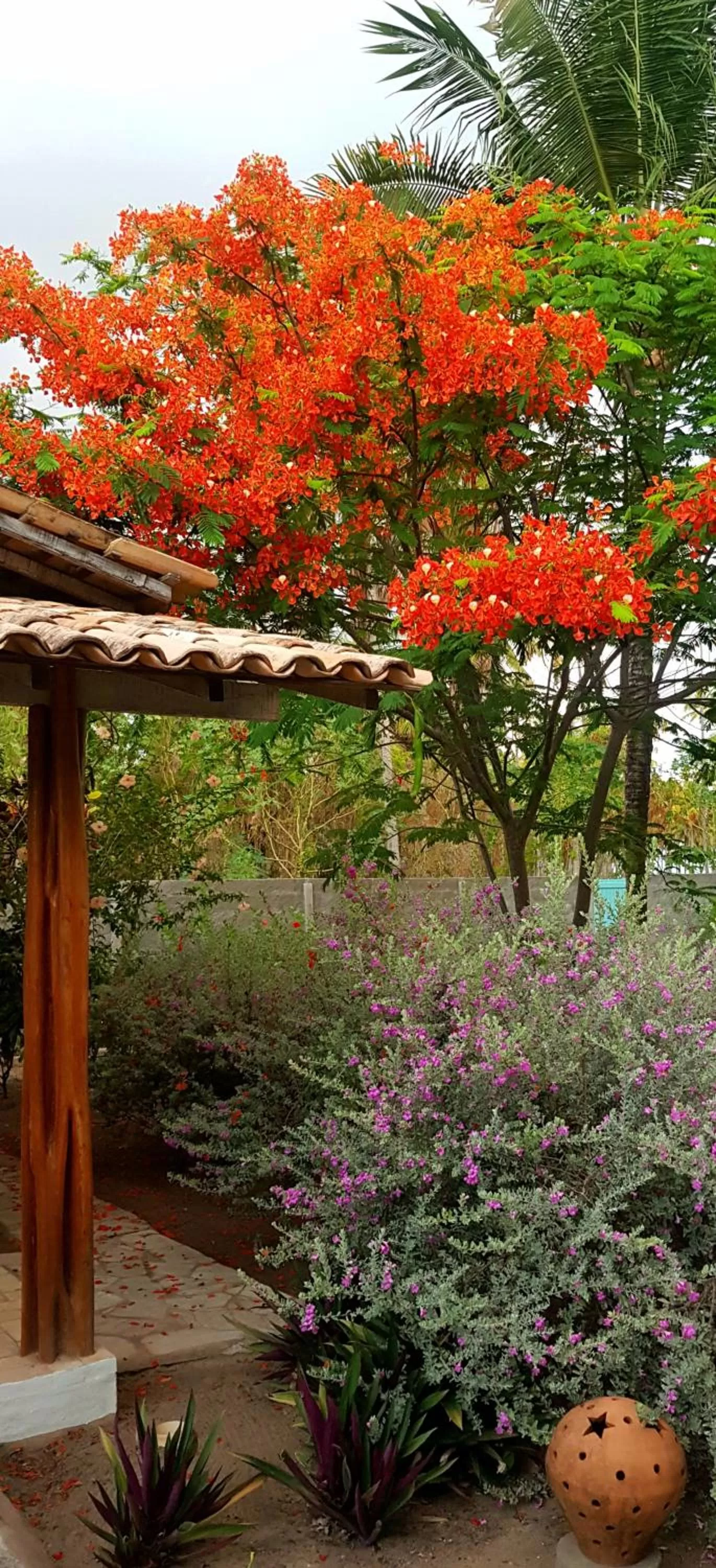 Patio in Pousada Villages Boutique Hotel - 150m da Praia da Laje