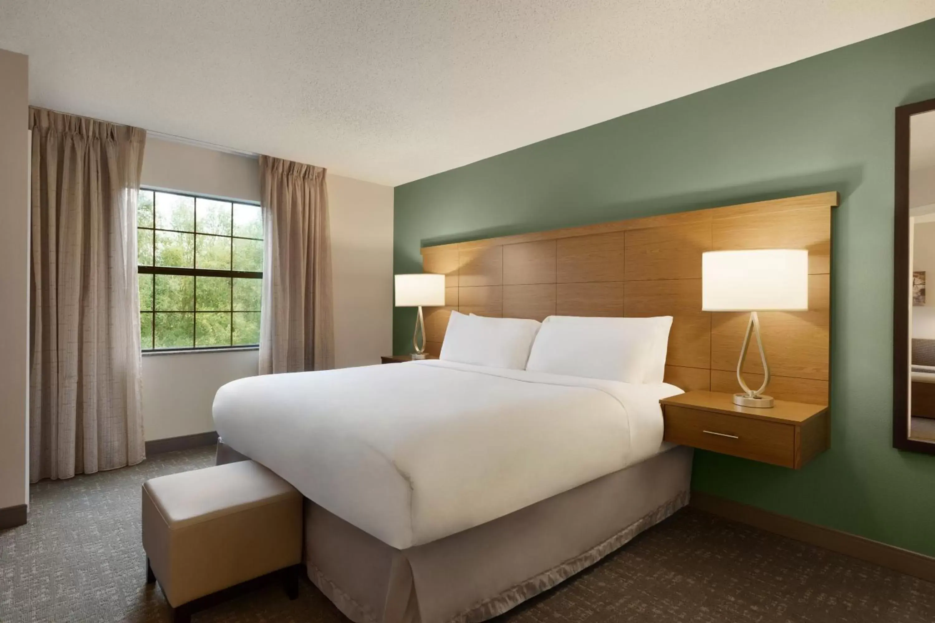 Photo of the whole room, Bed in Staybridge Suites Tampa East- Brandon, an IHG Hotel