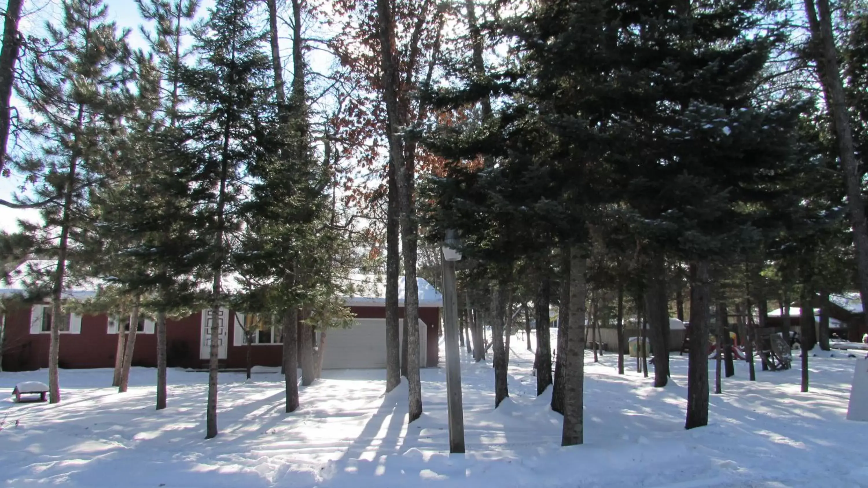 Winter in Woodland Motor Lodge