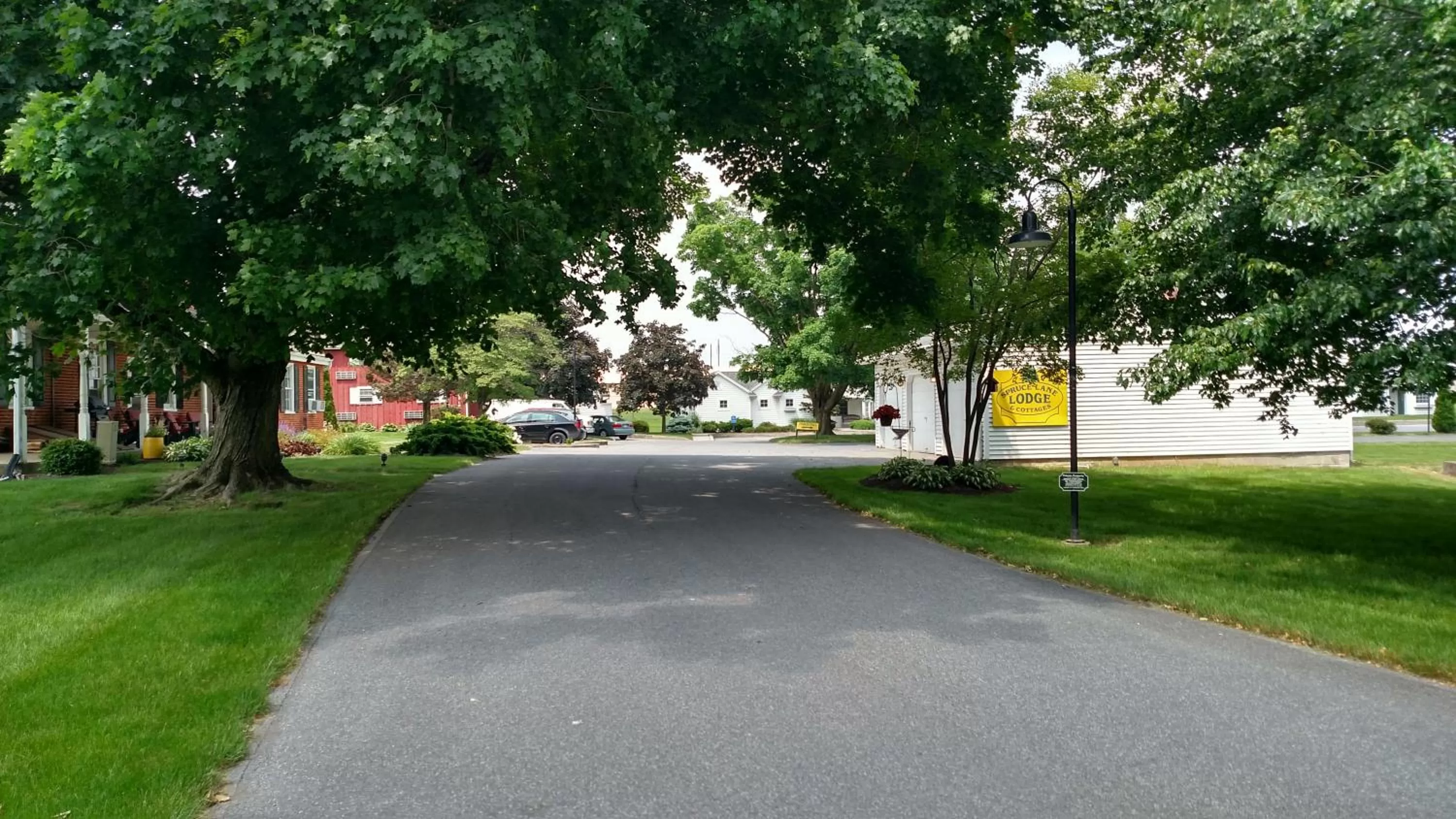 Street view in Spruce Lane Lodge and Cottages