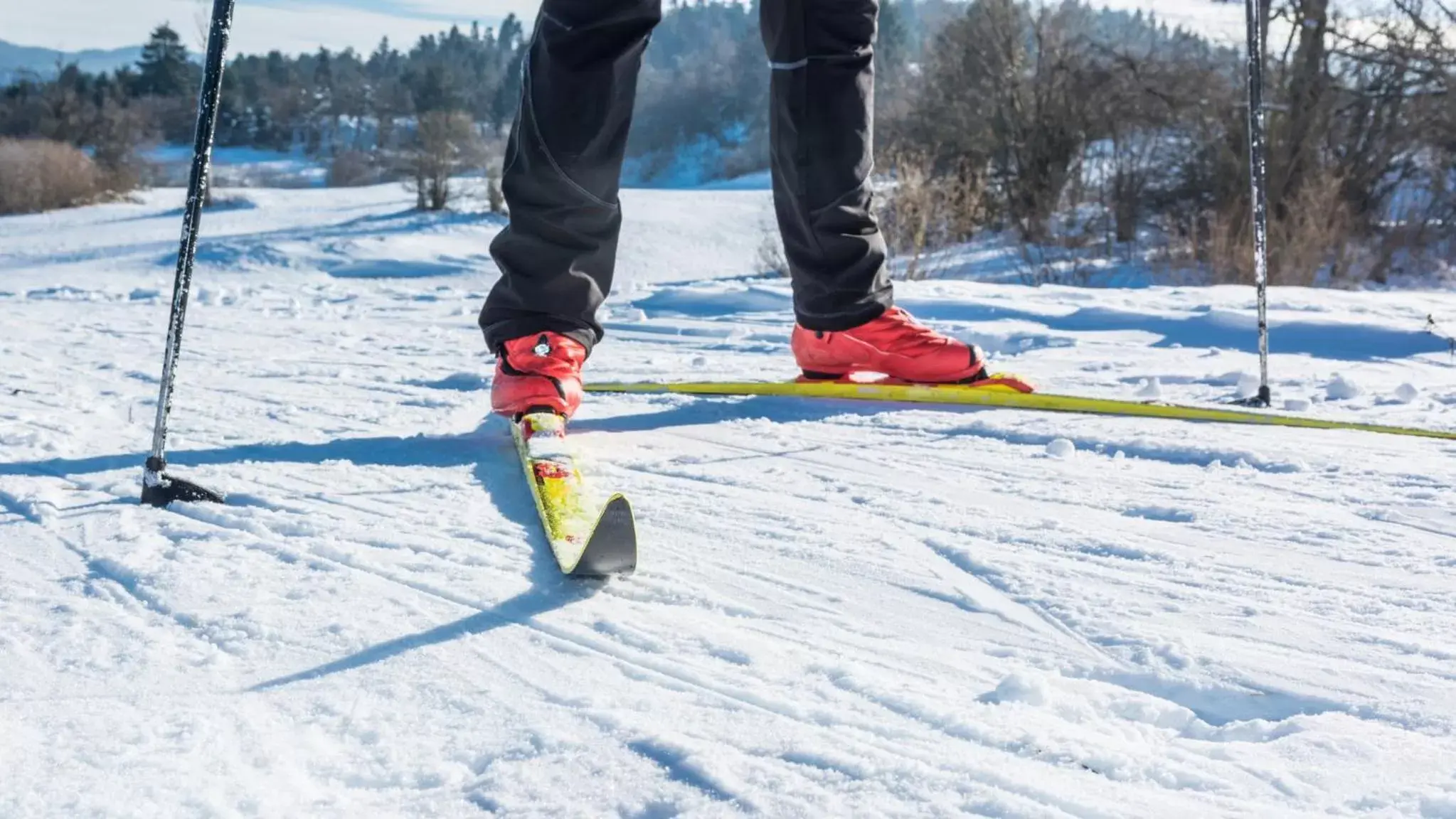 Nearby landmark, Skiing in Holiday Inn Express Hotel & Suites North Bay, an IHG Hotel