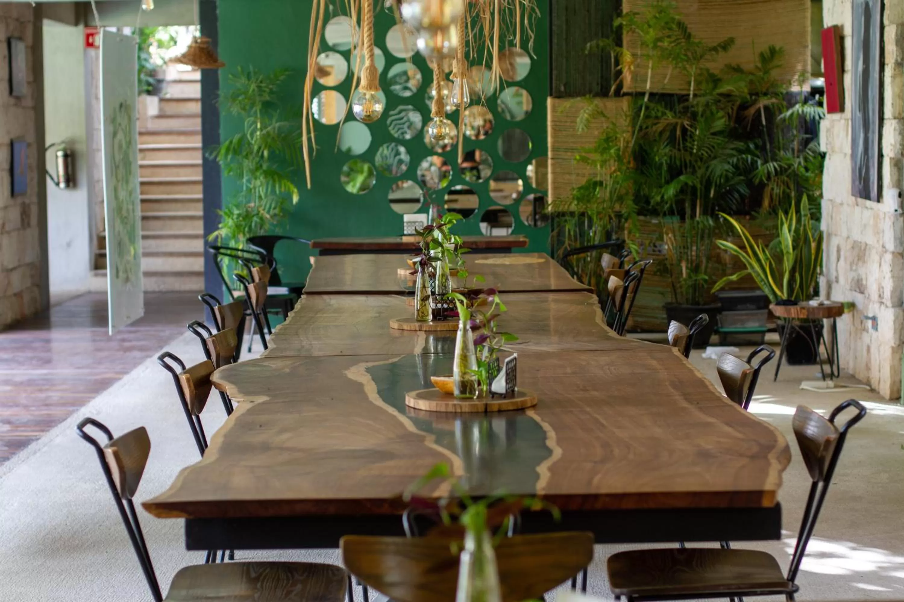 Restaurant/places to eat in Hotel Makaabá Eco-Boutique