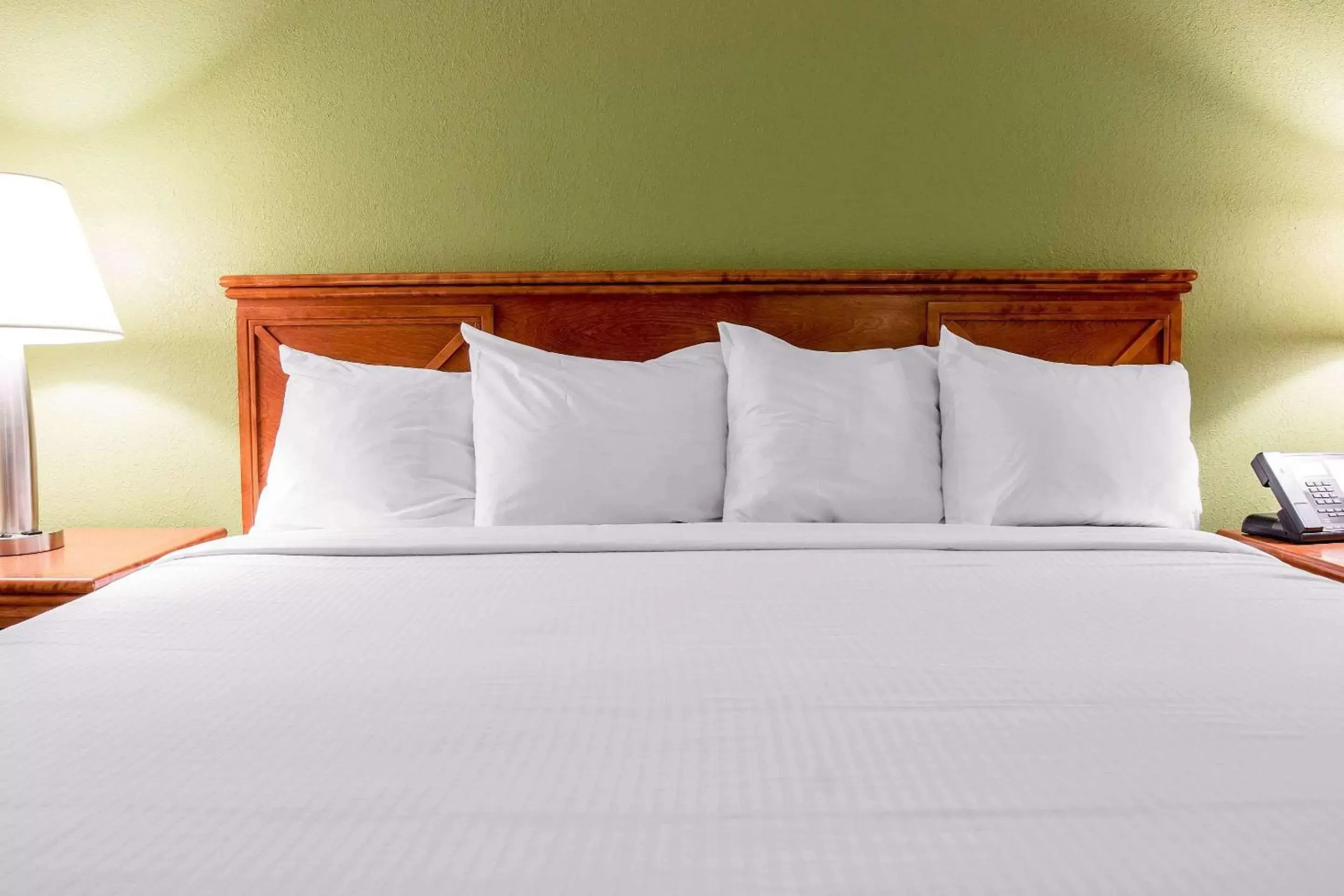 Photo of the whole room, Bed in Rodeway Inn Grand Haven