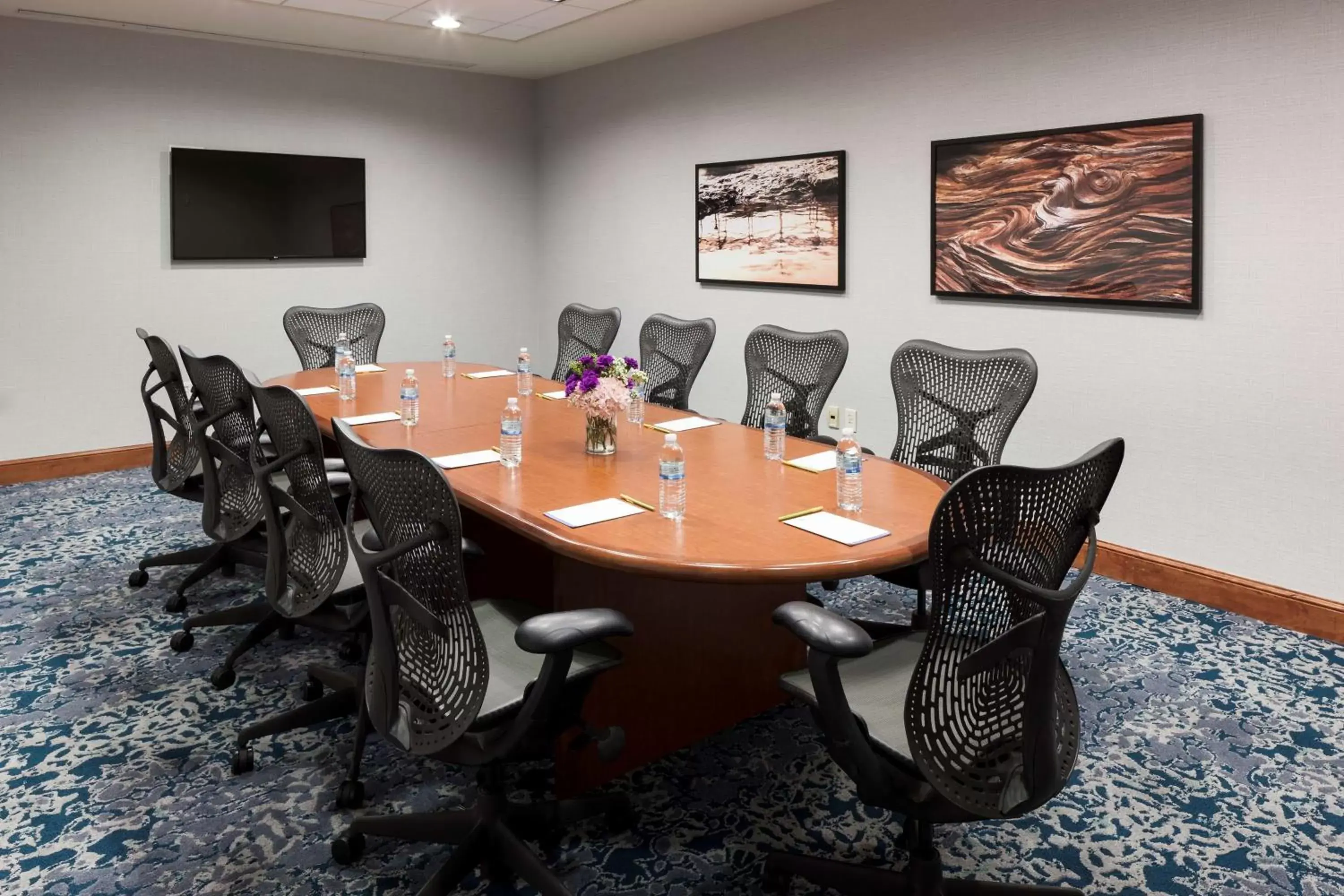 Meeting/conference room in Hilton Garden Inn Austin North