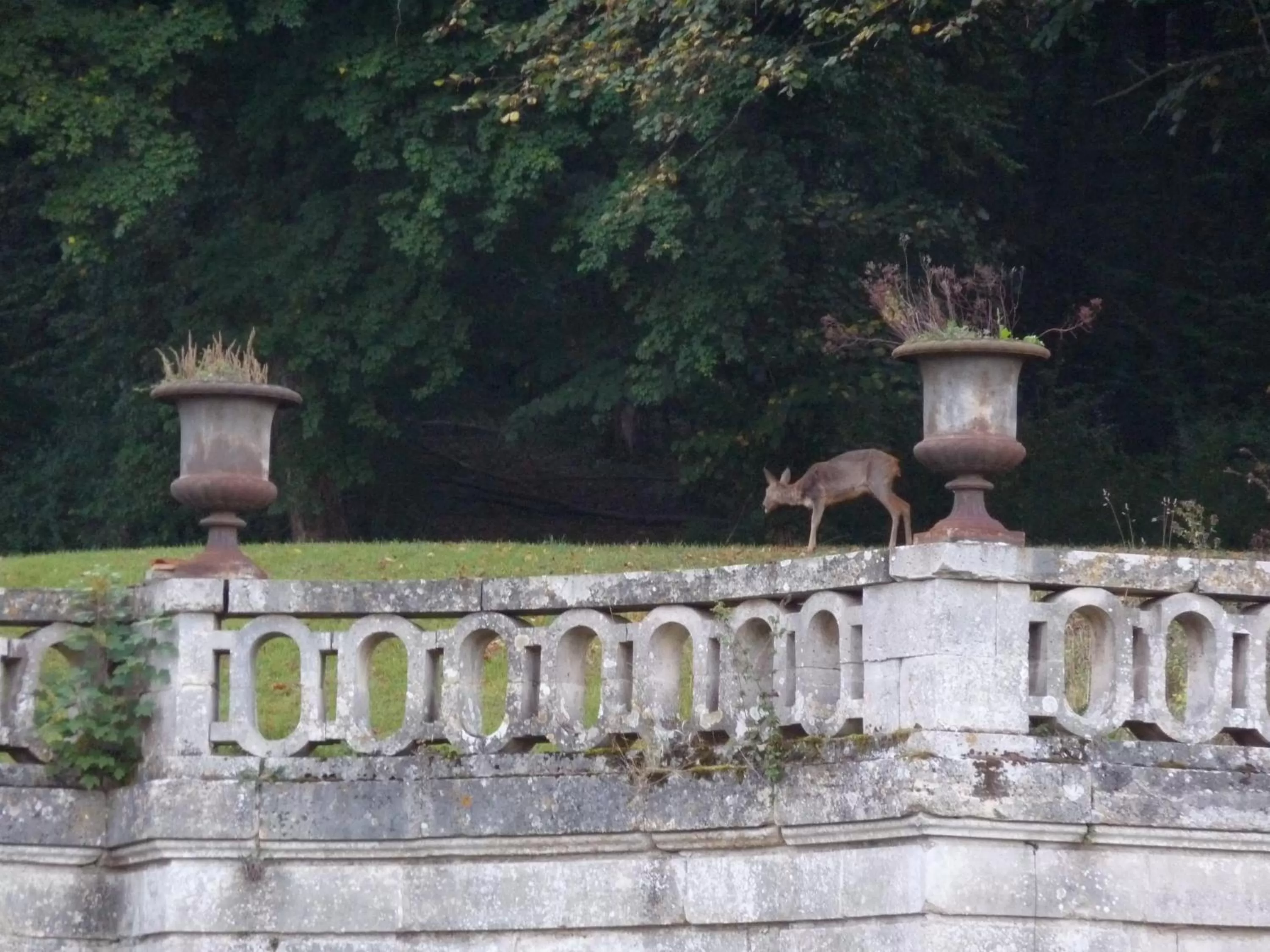 Garden in La Grande Maison