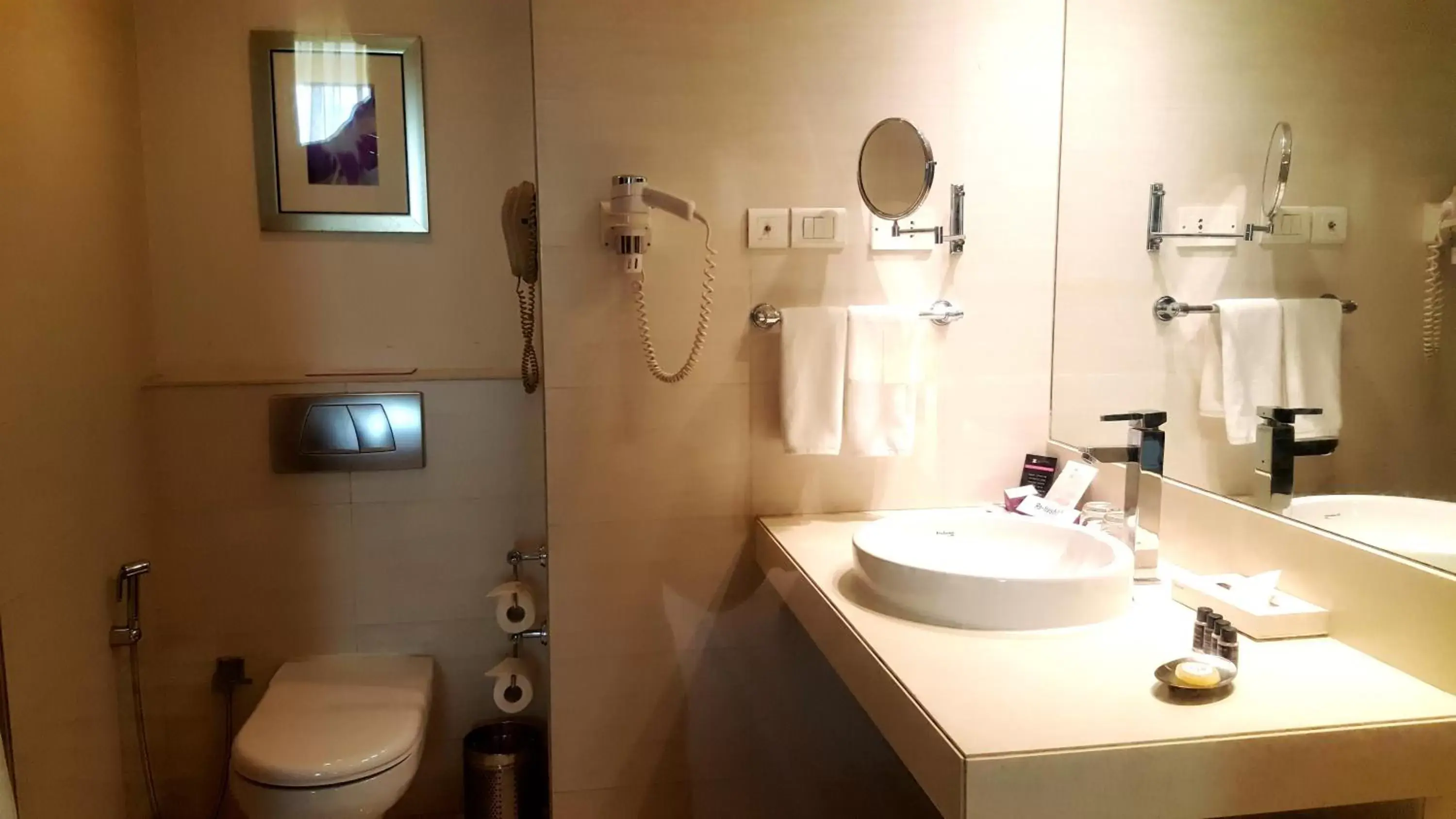 Toilet, Bathroom in Royal Orchid Central, Pune