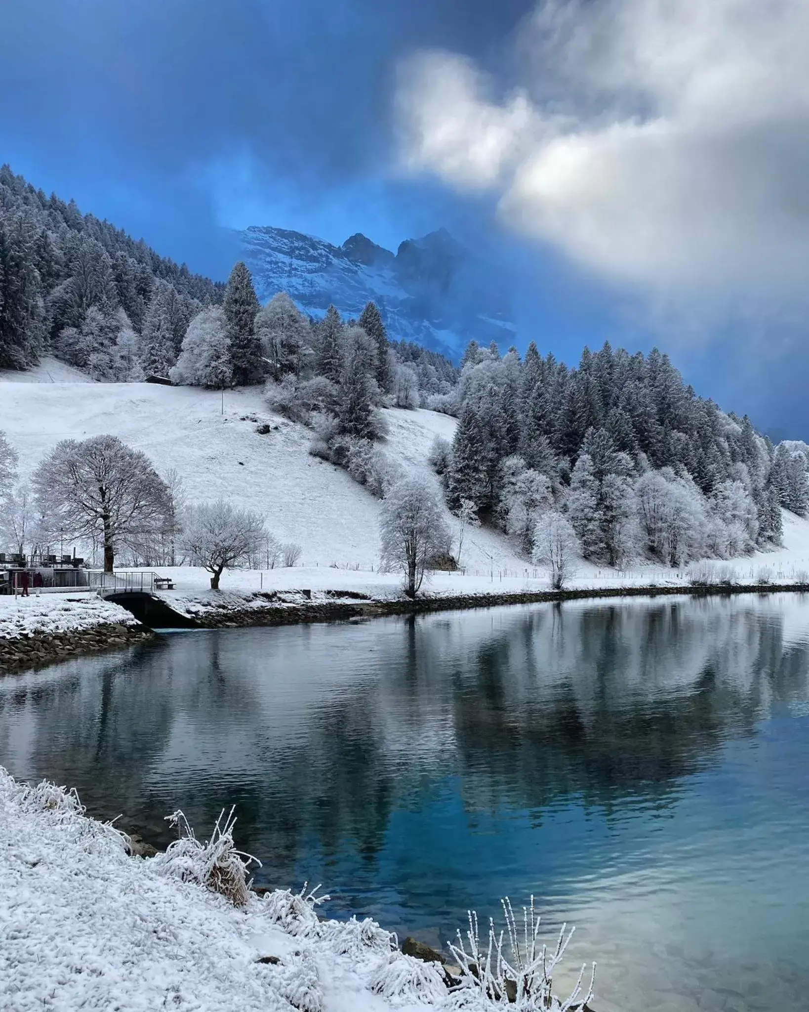 Natural landscape, Winter in Hotel Central