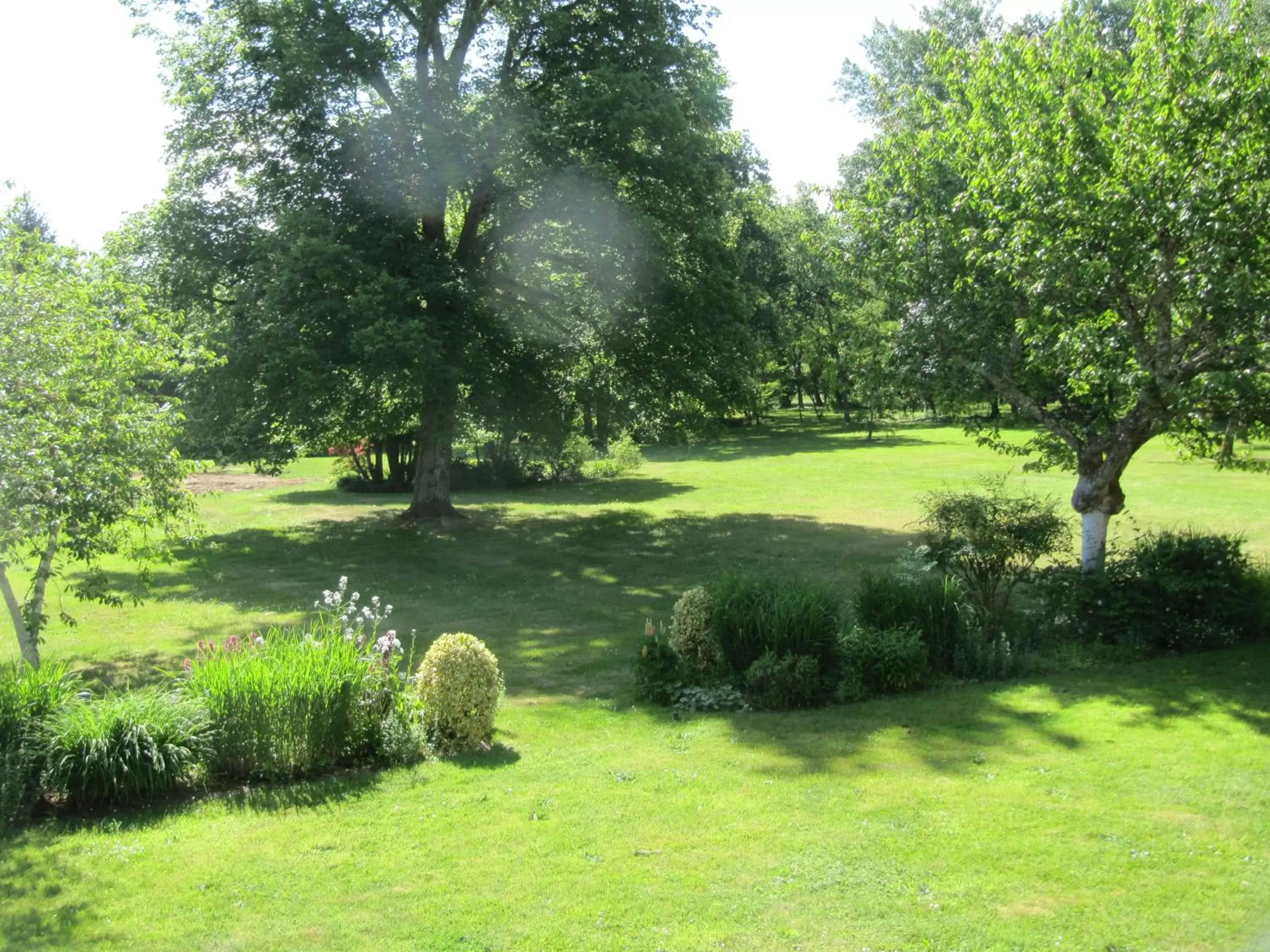 Garden in Domaine de Montizeau