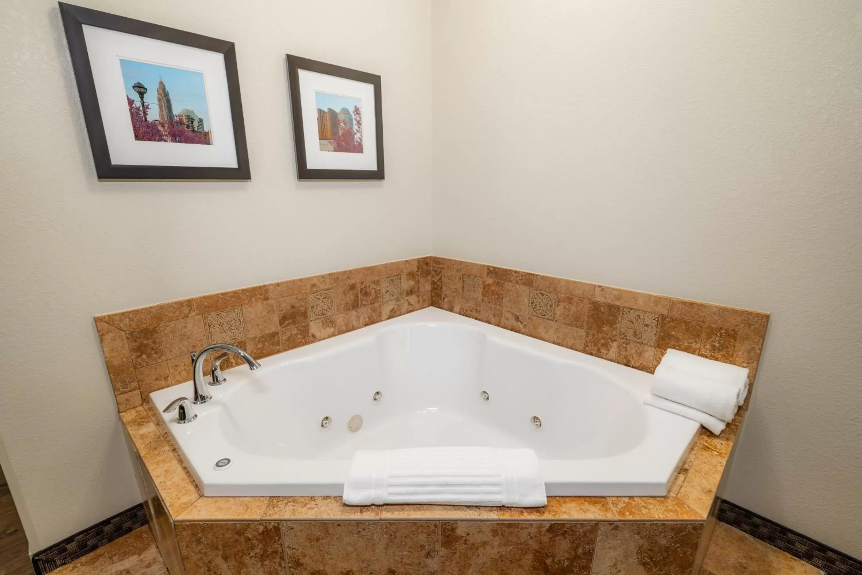 Hot Tub, Bathroom in Comfort Suites Troy-I75