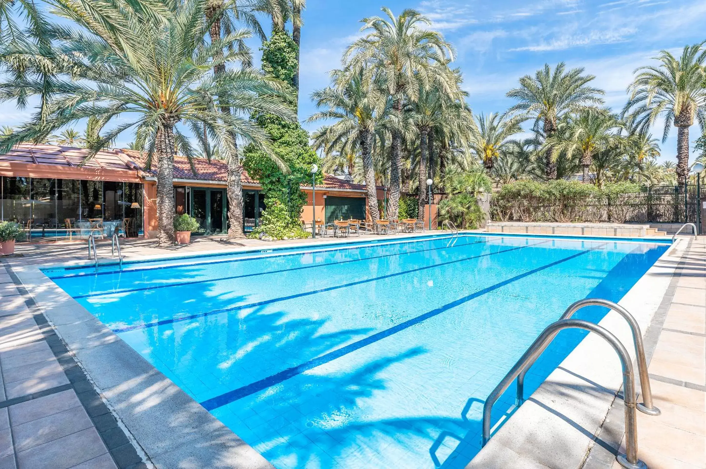 Garden, Swimming Pool in Jardín Milenio