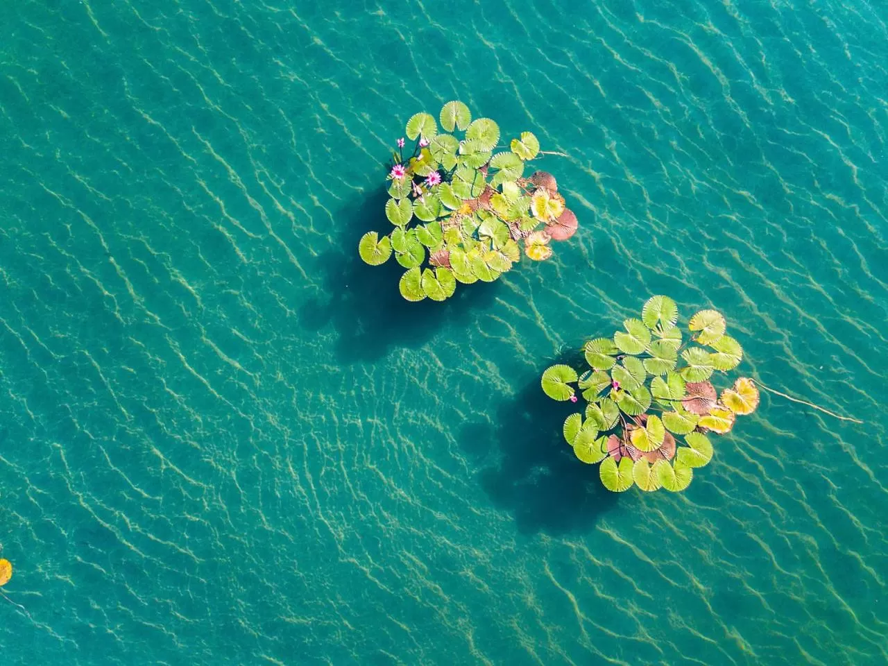 Nearby landmark in Hunguest Hotel Panoráma