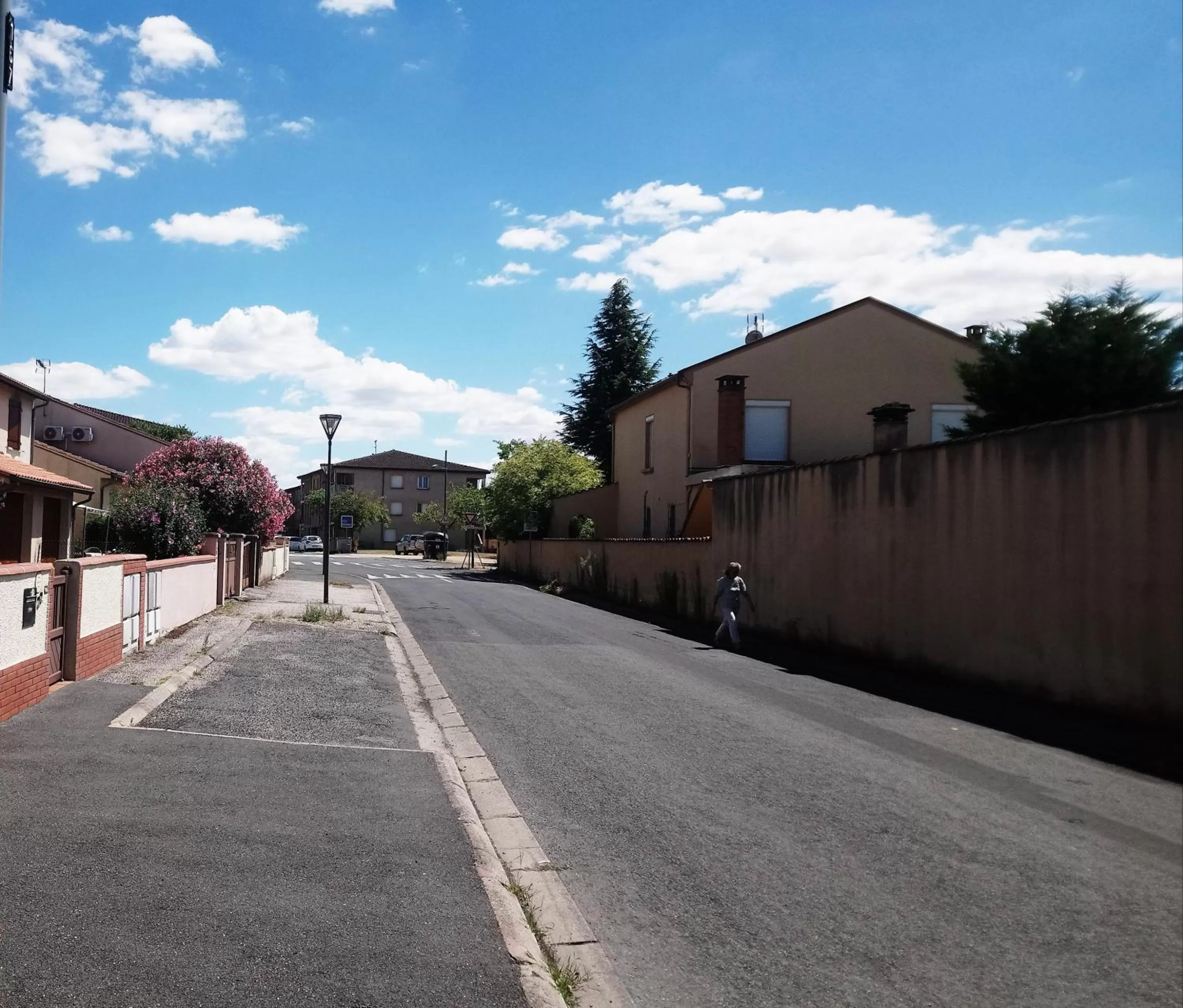 Street view in Fleurs de Cosmos