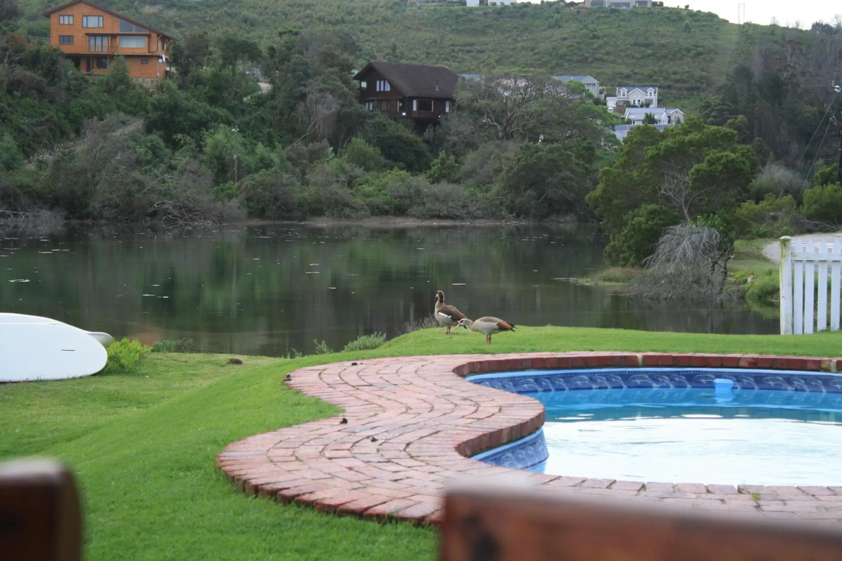 Swimming Pool in Salt River Lodge