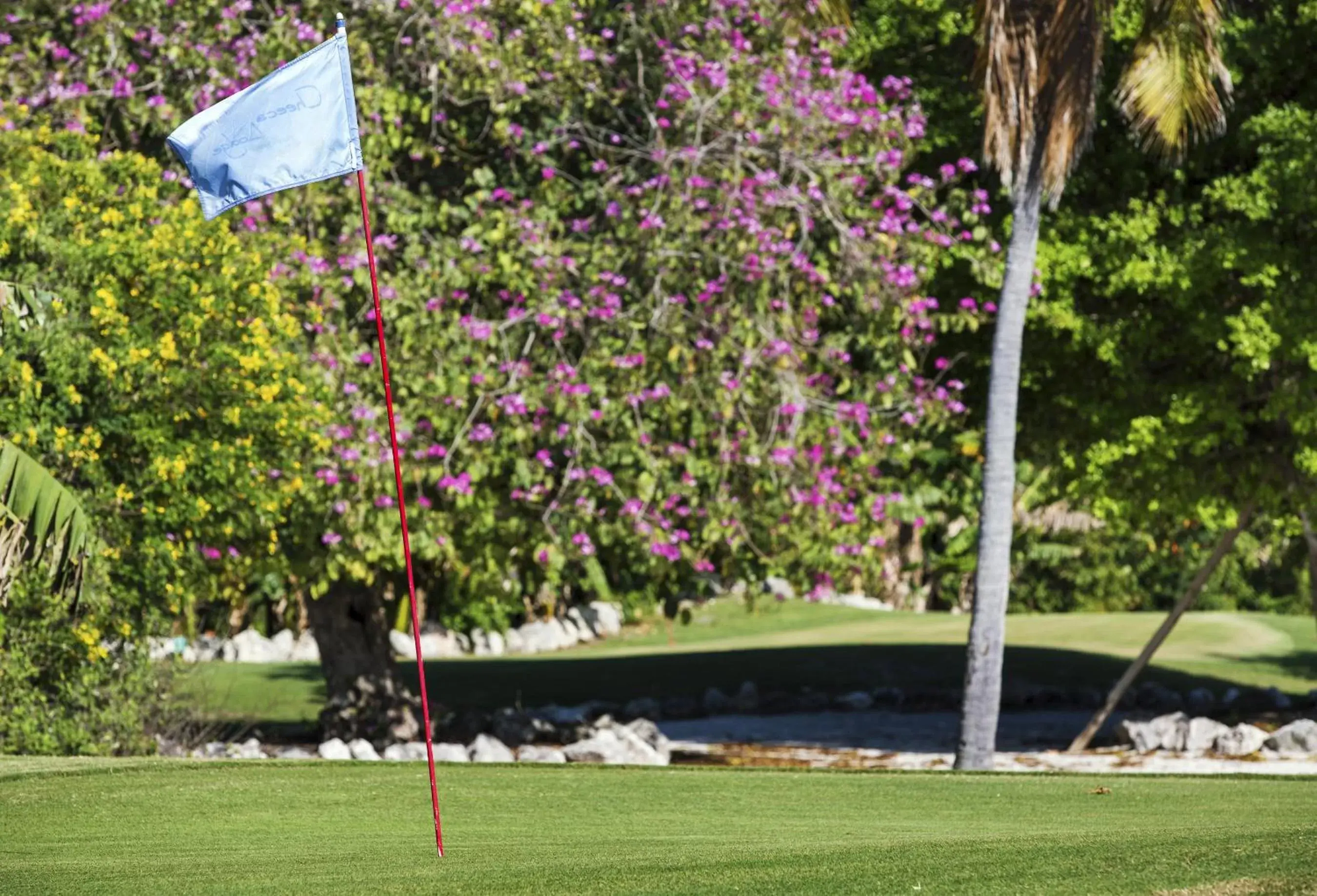 Golfcourse, Garden in Cheeca Lodge & Spa