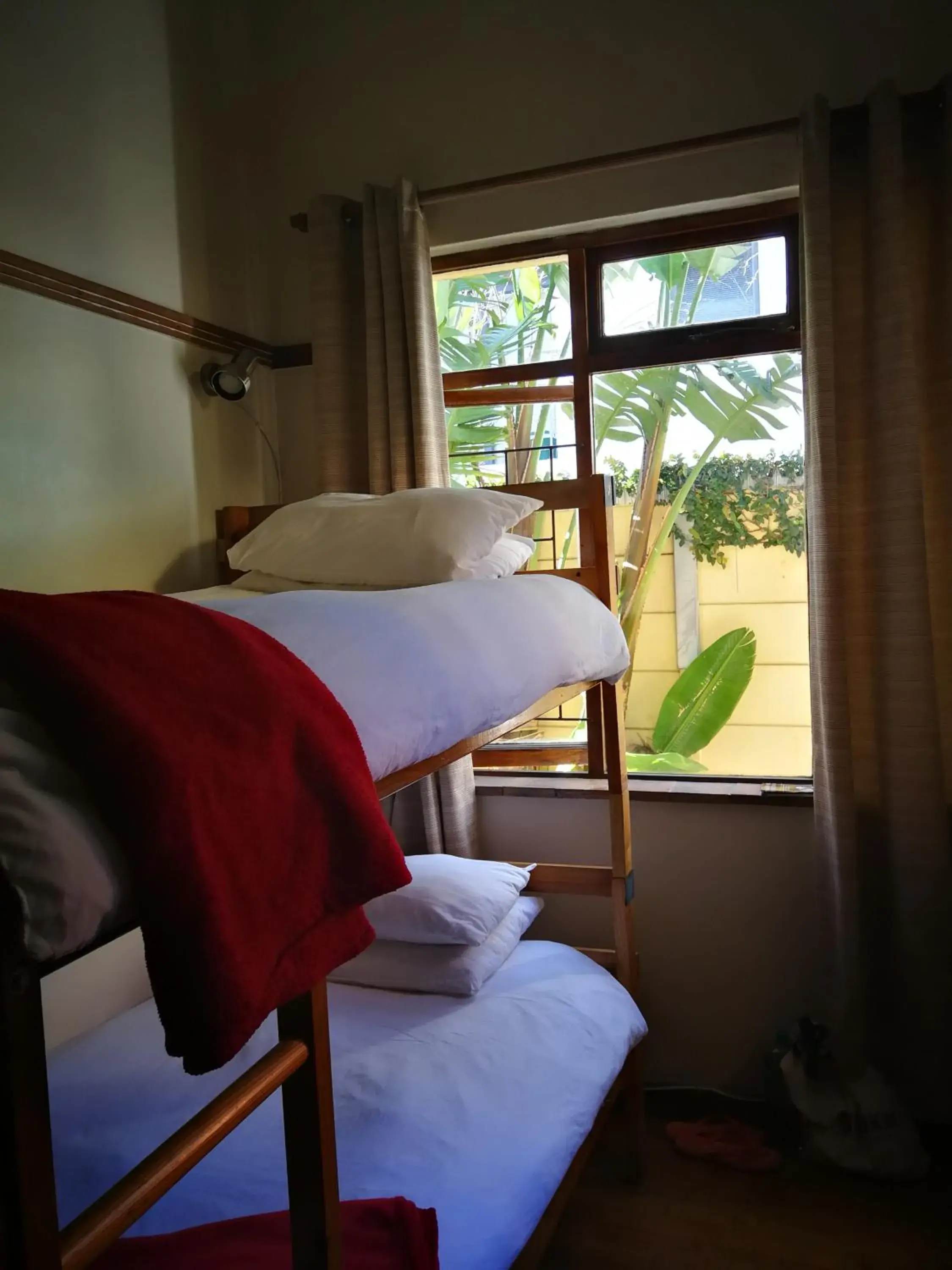 bunk bed in A Sunflower Stop Backpackers