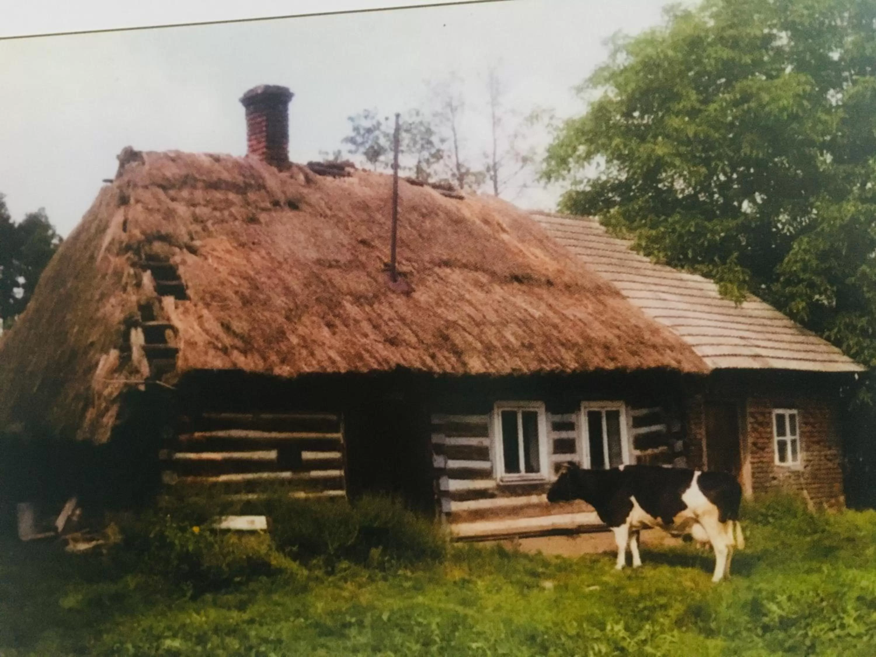 Off site in Pokoje w Starej Karczmie - by Upstairs