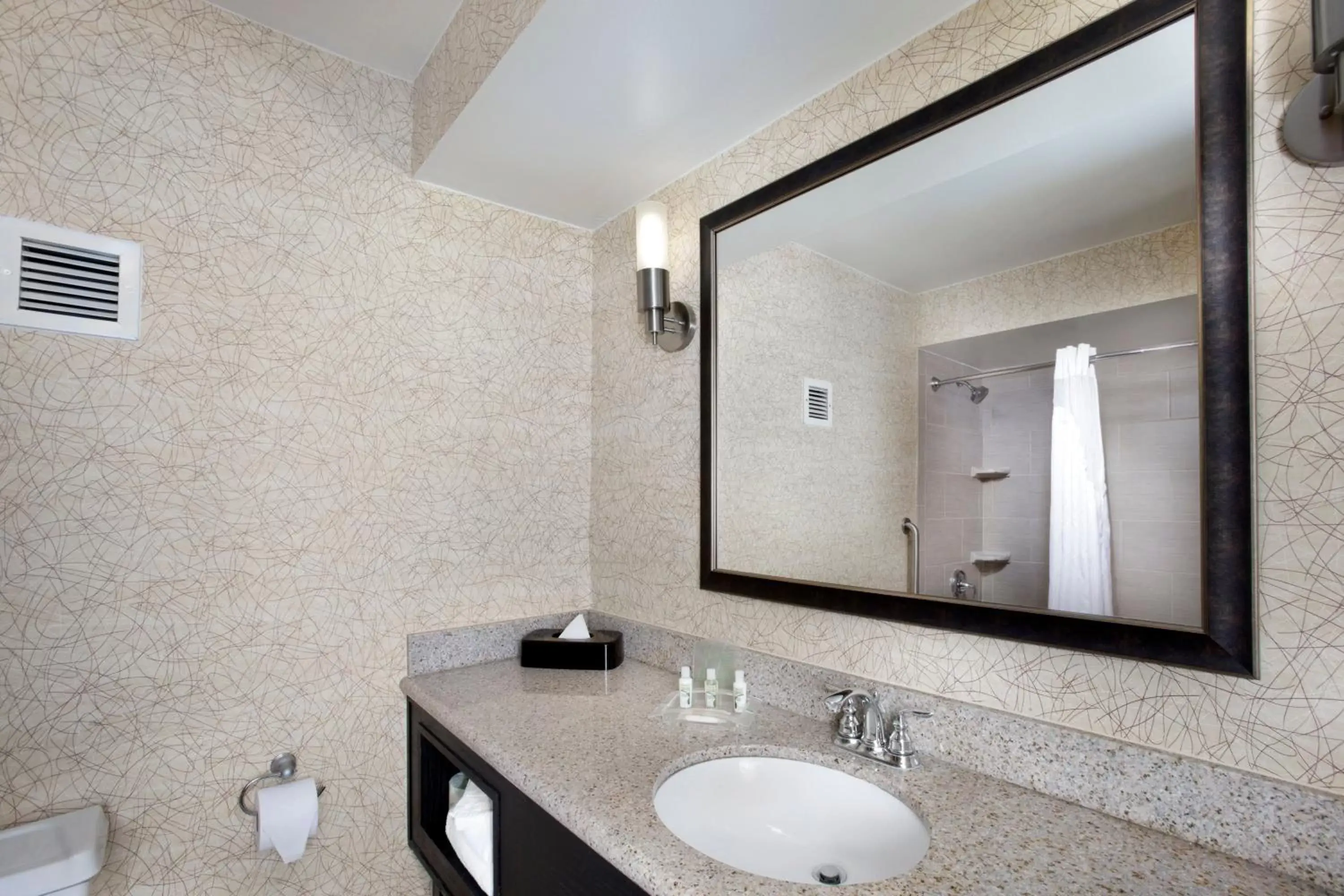 Bathroom in Holiday Inn Johnson City, an IHG Hotel