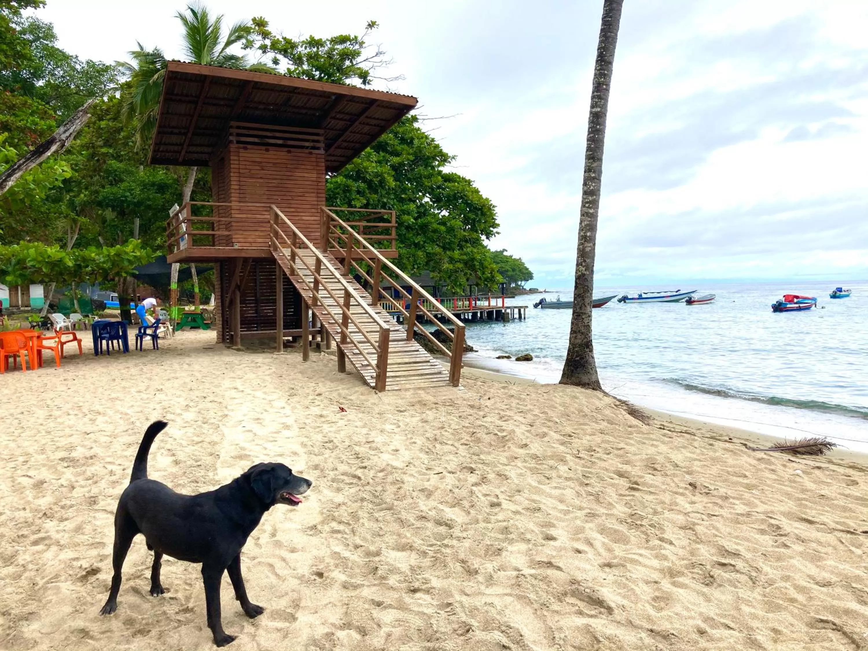 Los Robles Capurgana