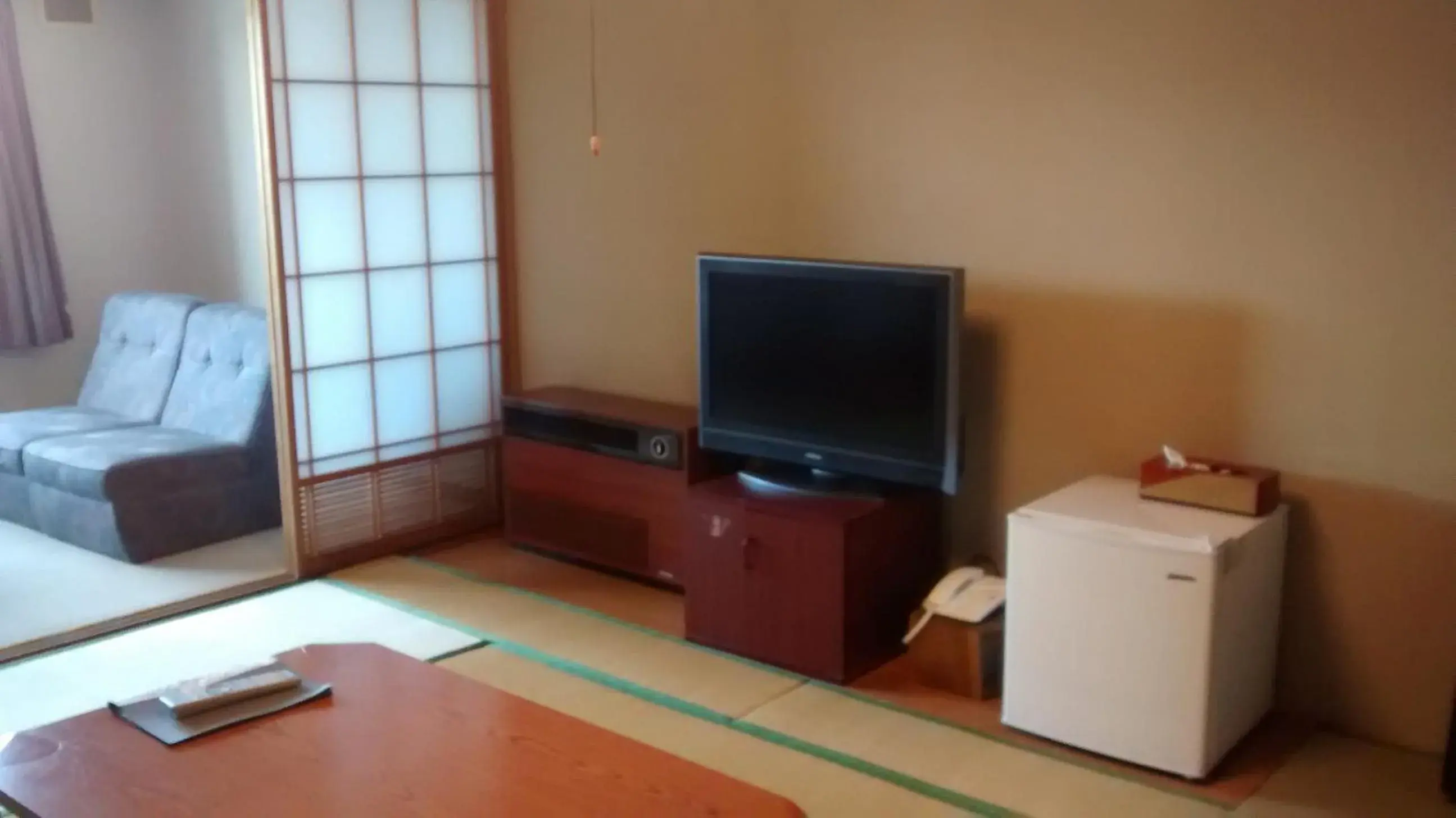 Decorative detail, TV/Entertainment Center in Shiga Palace Hotel