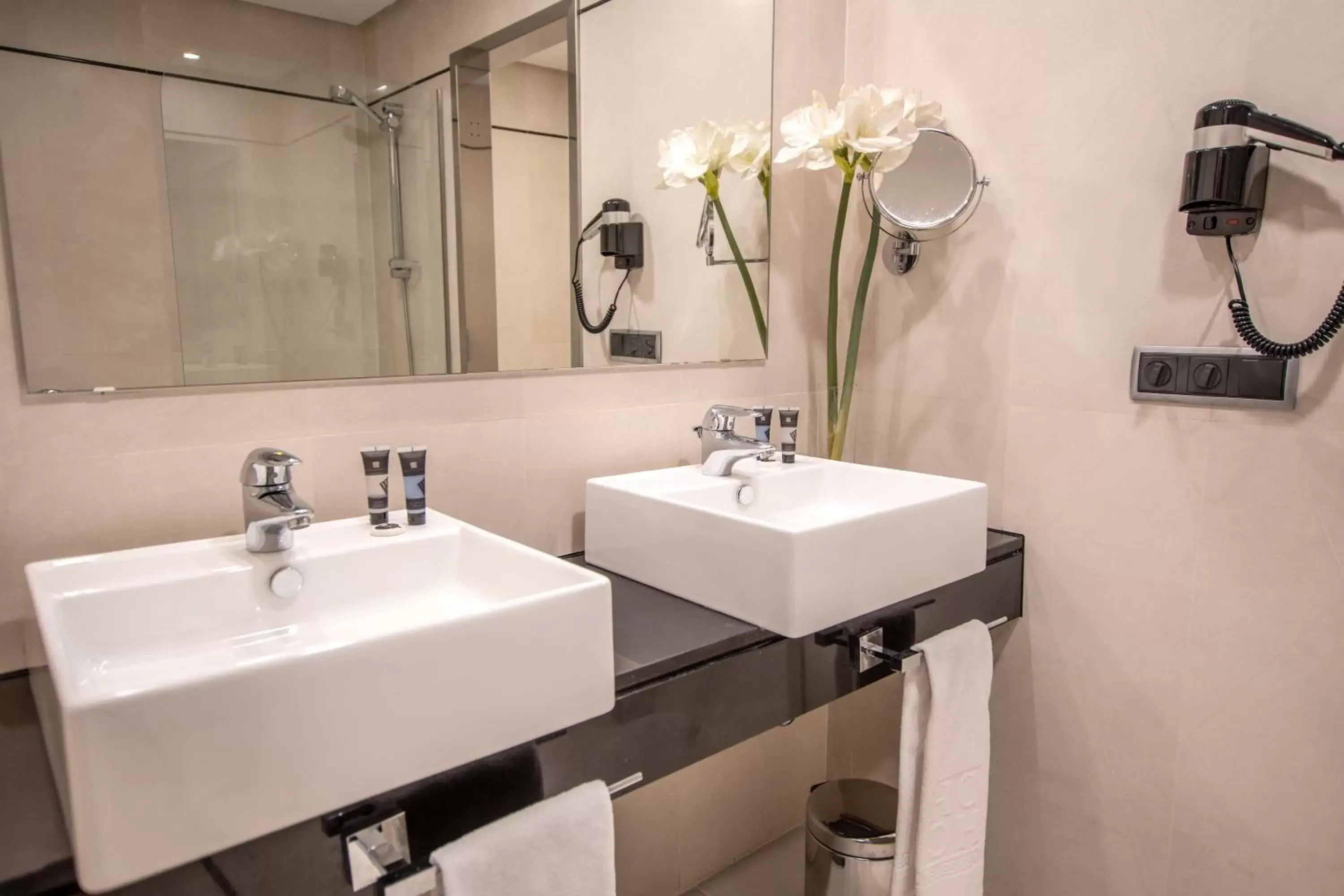 Bathroom in Hotel Andalucía Center