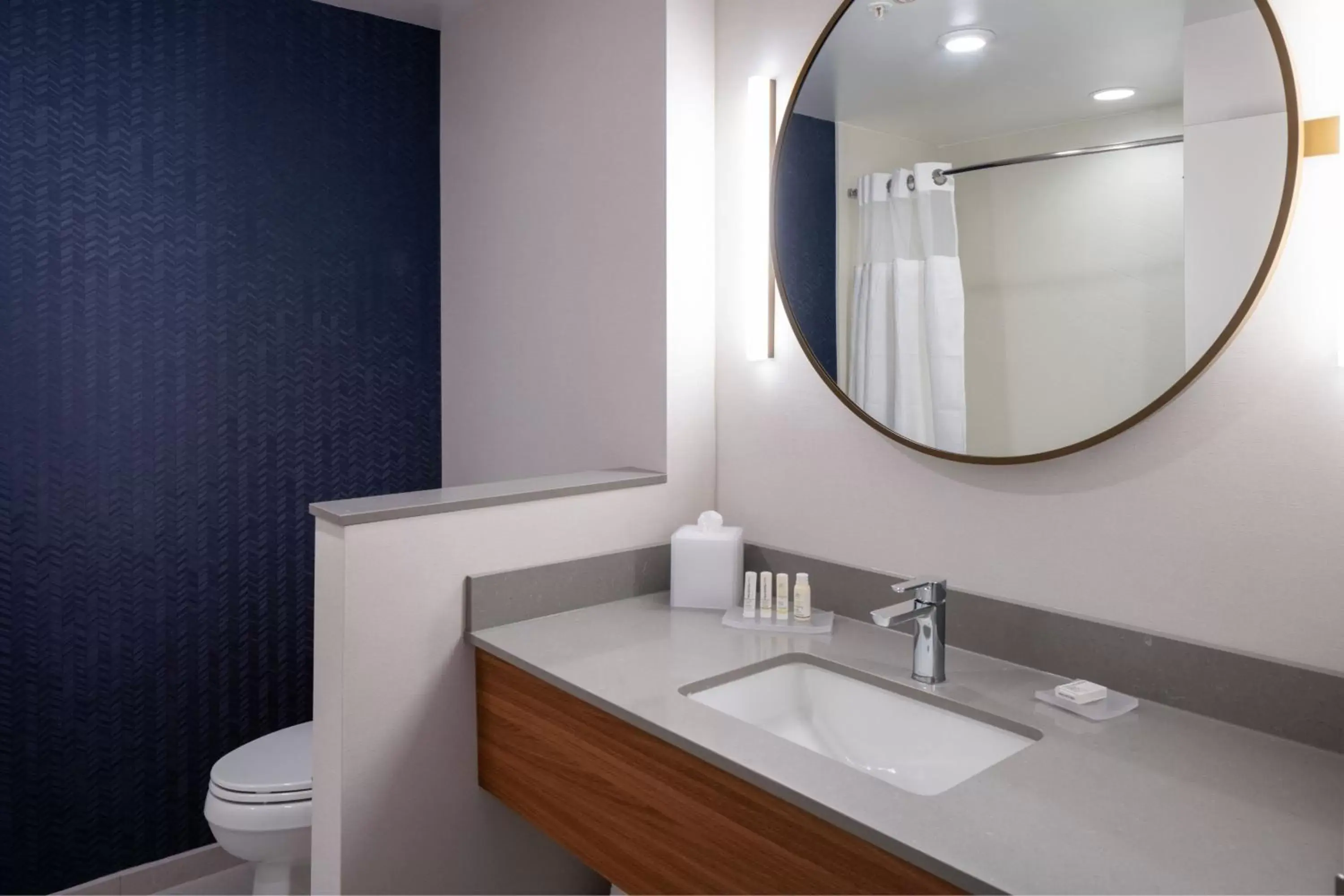 Bathroom in Fairfield by Marriott Inn & Suites Somerset