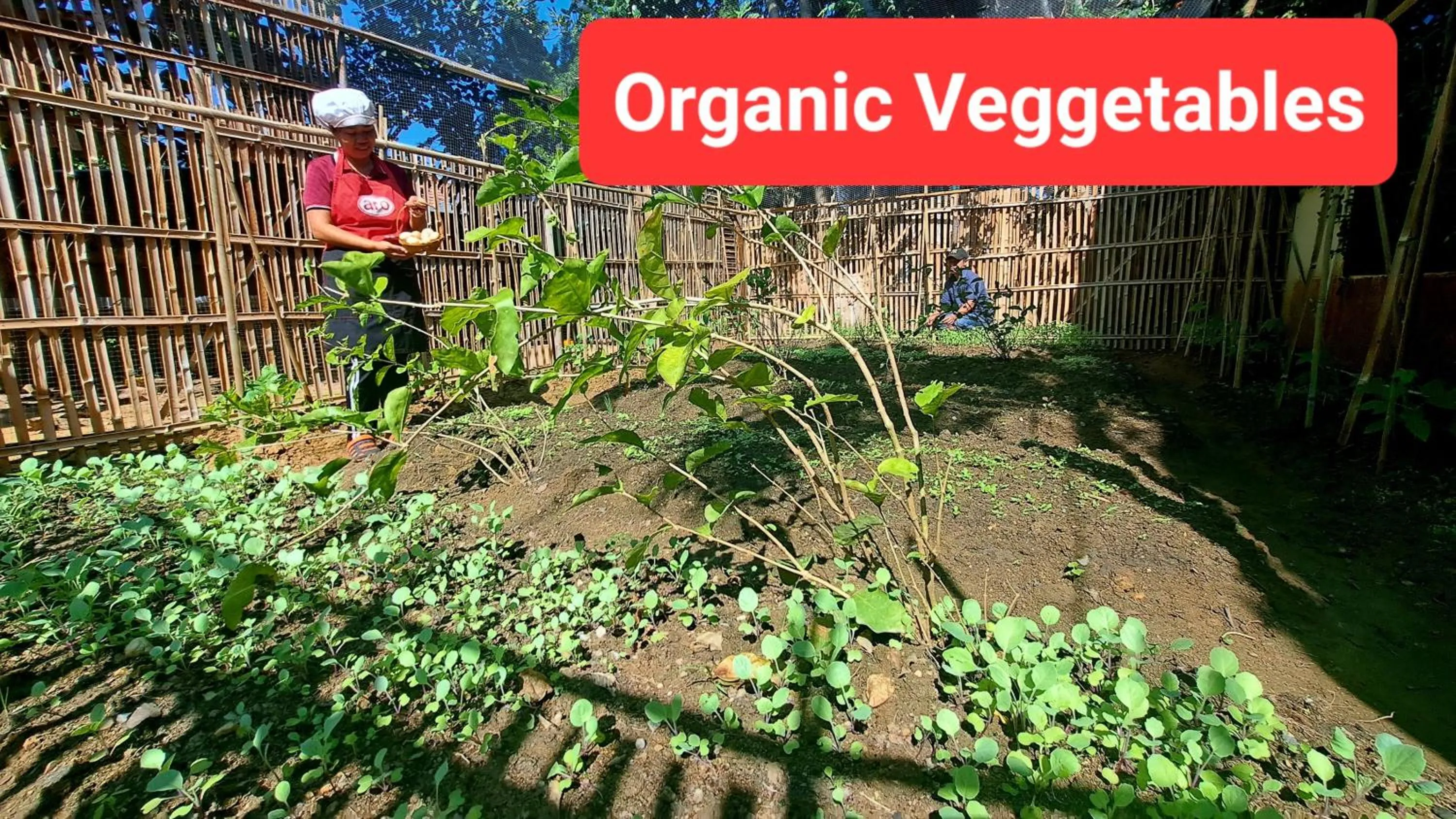 Food in Oriental Siam Resort - SHA Extra Plus Certified