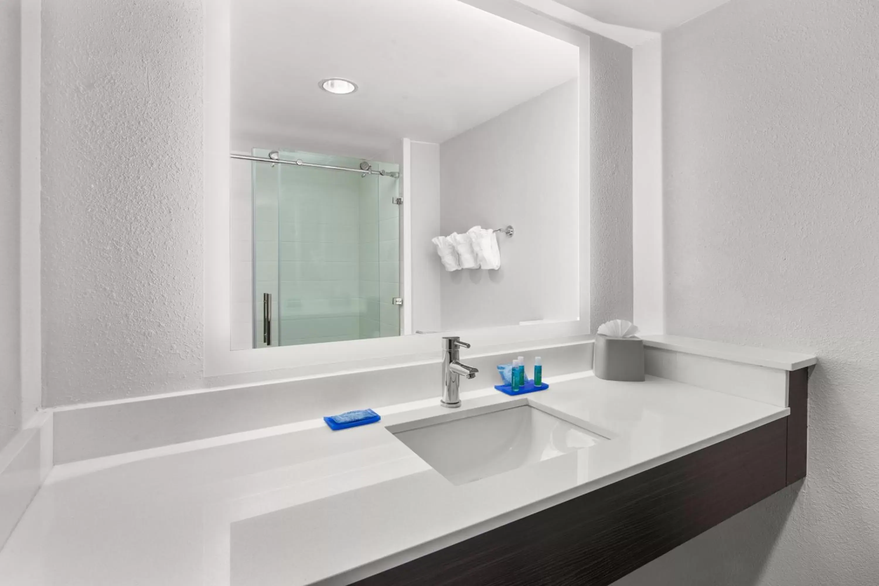 Bathroom in Holiday Inn Express Hotels & Suites Greenville-Spartanburg/Duncan, an IHG Hotel