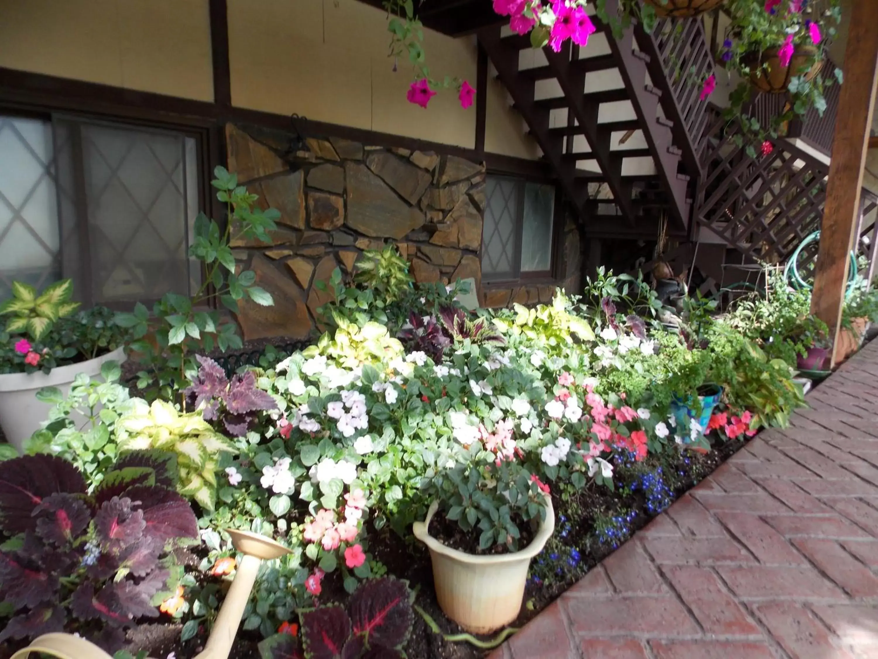 Facade/entrance in 7 Gables Inn & Suites