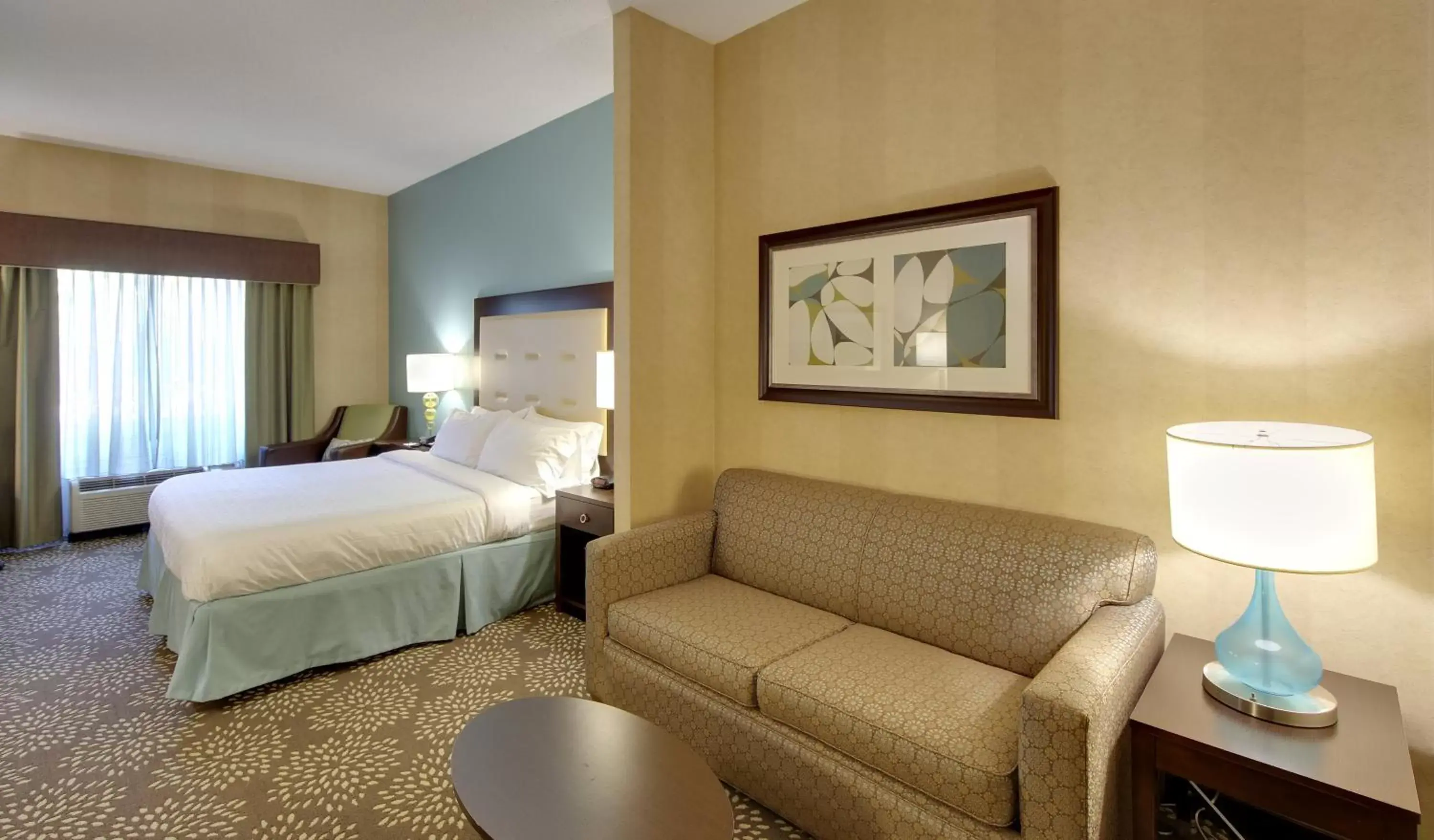 Photo of the whole room in Holiday Inn Express & Suites Sylva / Dillsboro, an IHG Hotel