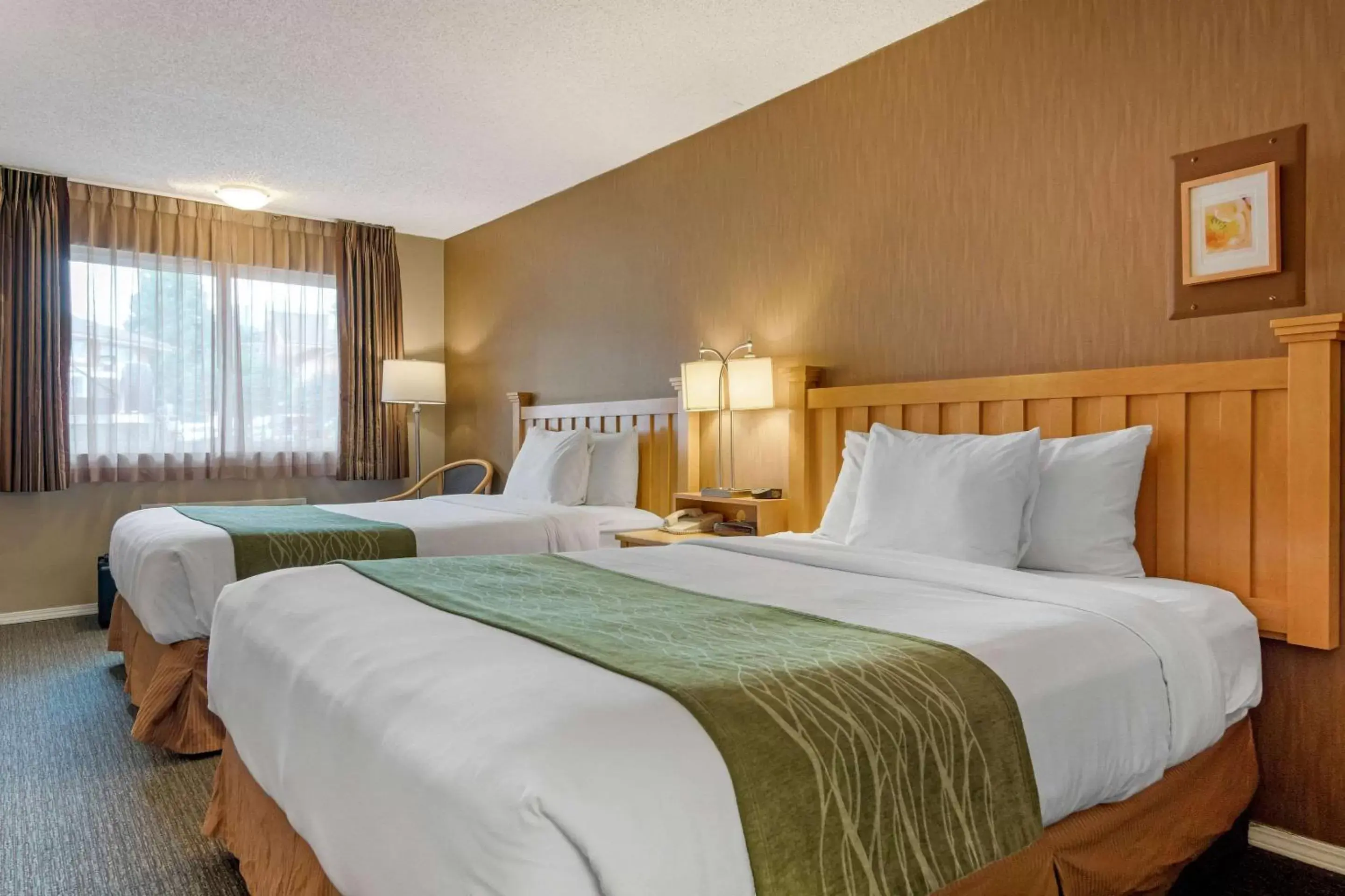 Photo of the whole room, Bed in Econo Lodge Inn & Suites - North Vancouver