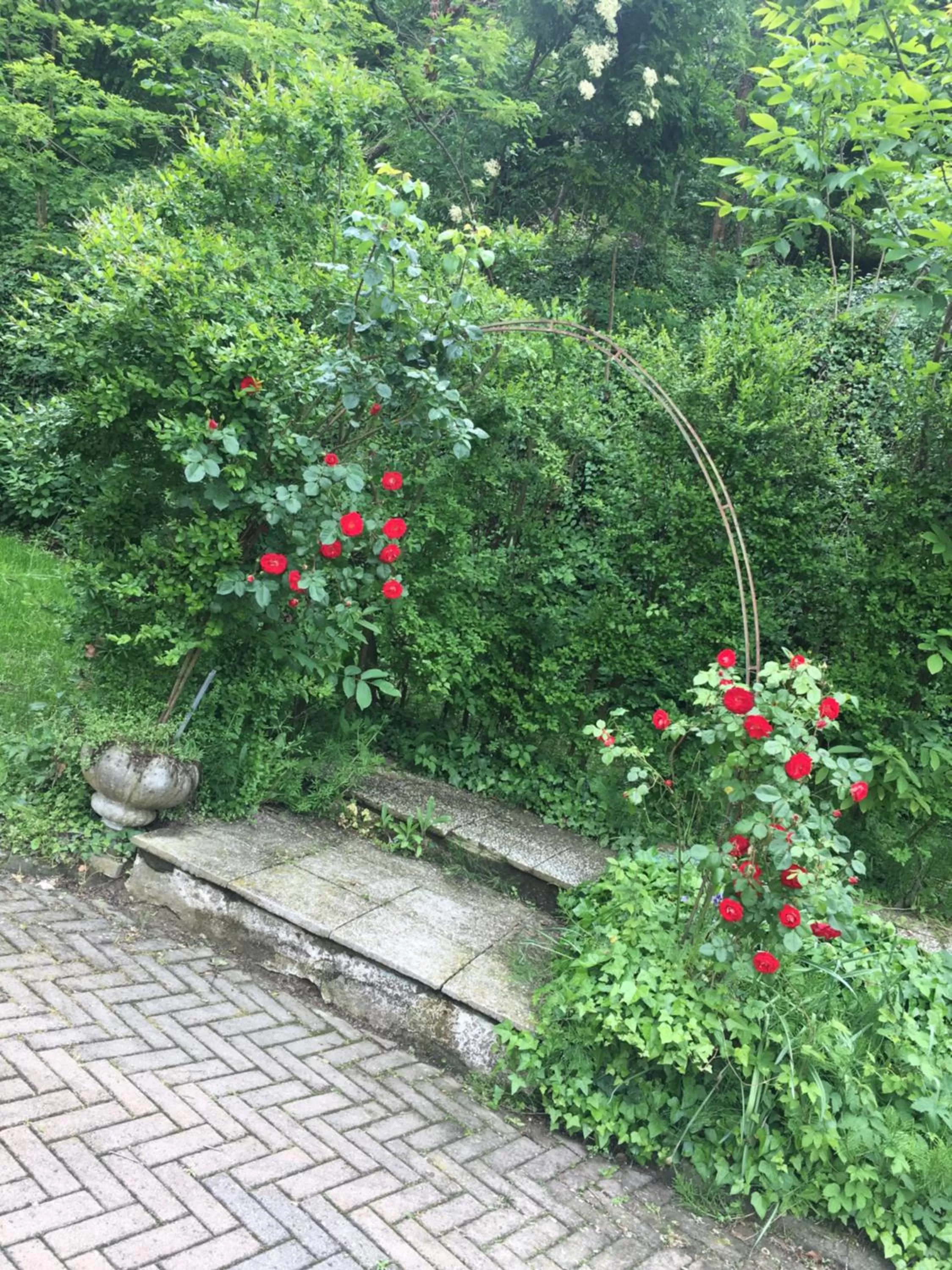 Rossella alla Villarella dei Tulipani