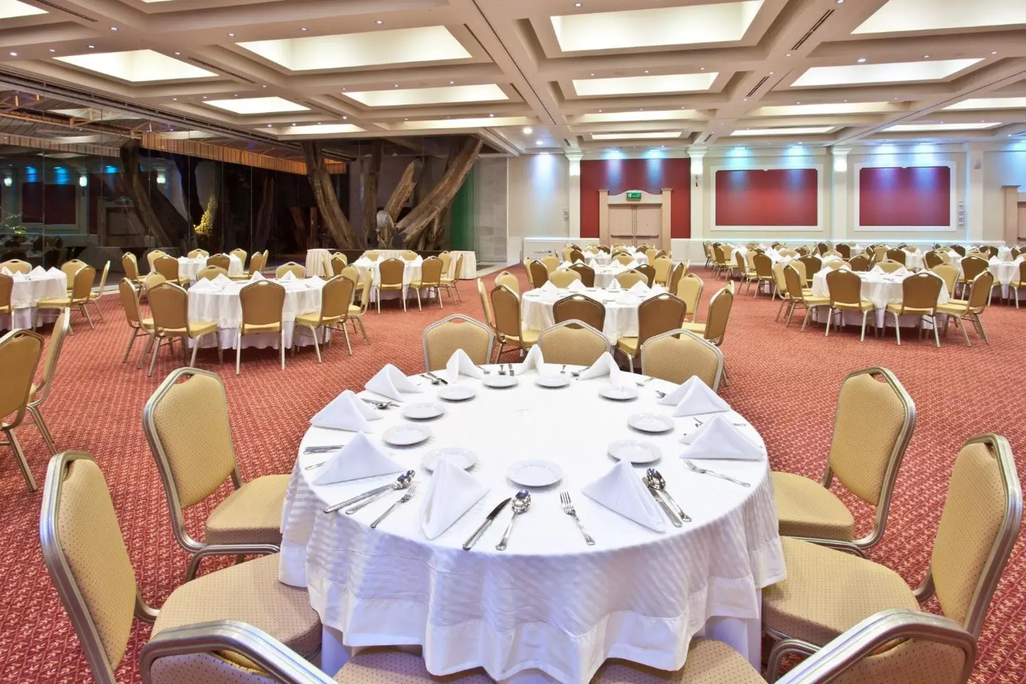 Meeting/conference room, Banquet Facilities in Holiday Inn Cuernavaca, an IHG Hotel