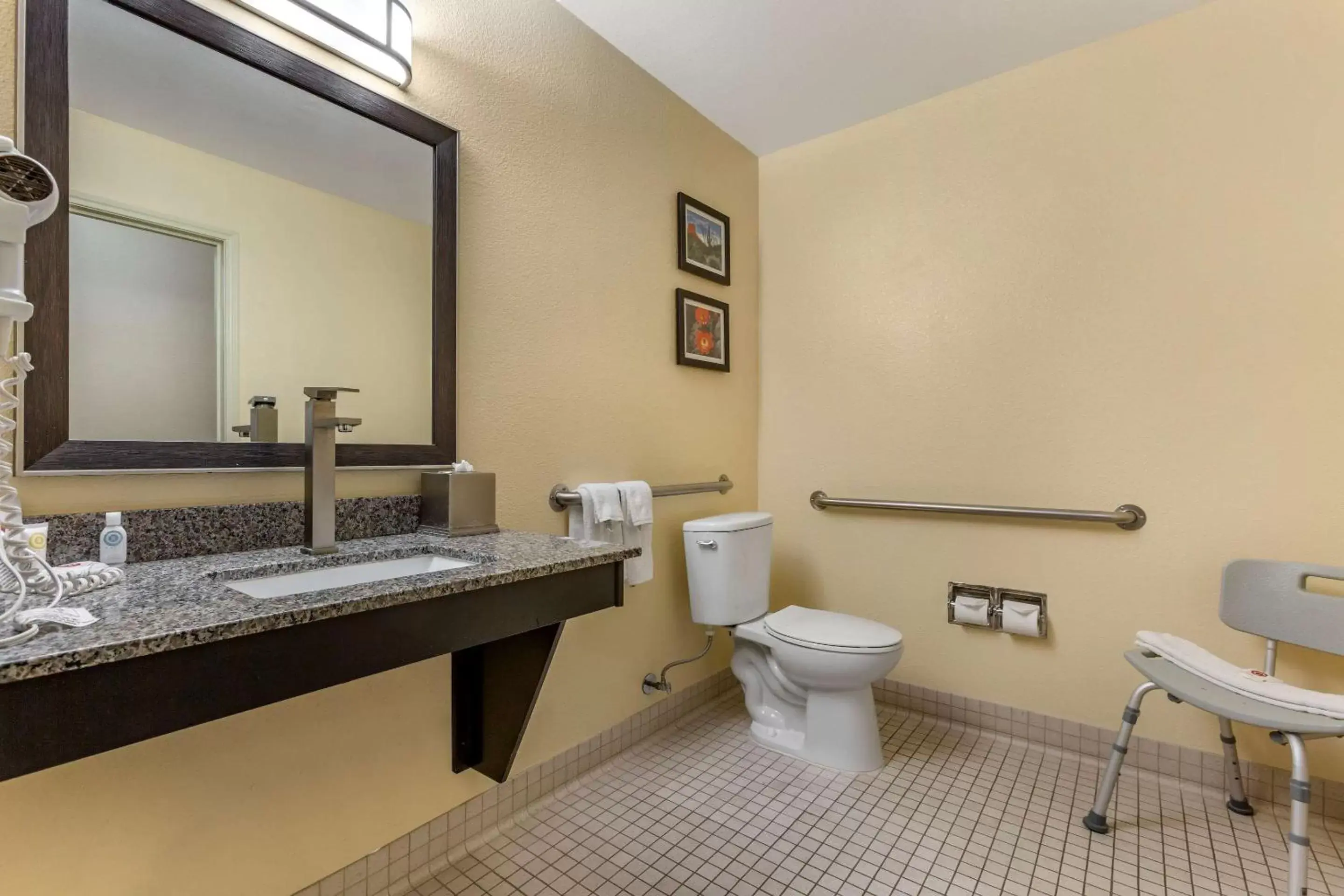 Bathroom in Comfort Inn Chandler - Phoenix South I-10