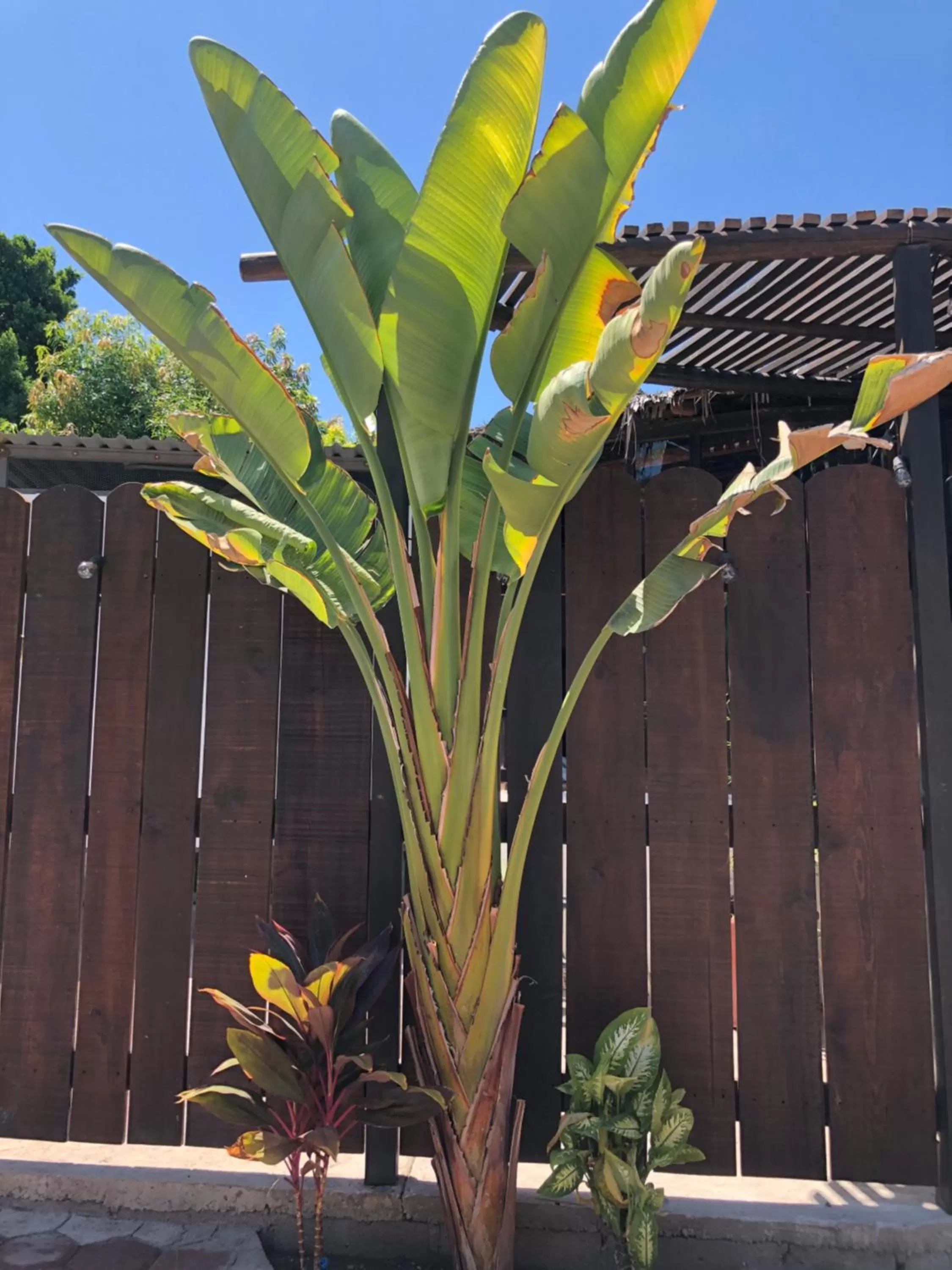 Property building in Hotel 1697 Loreto