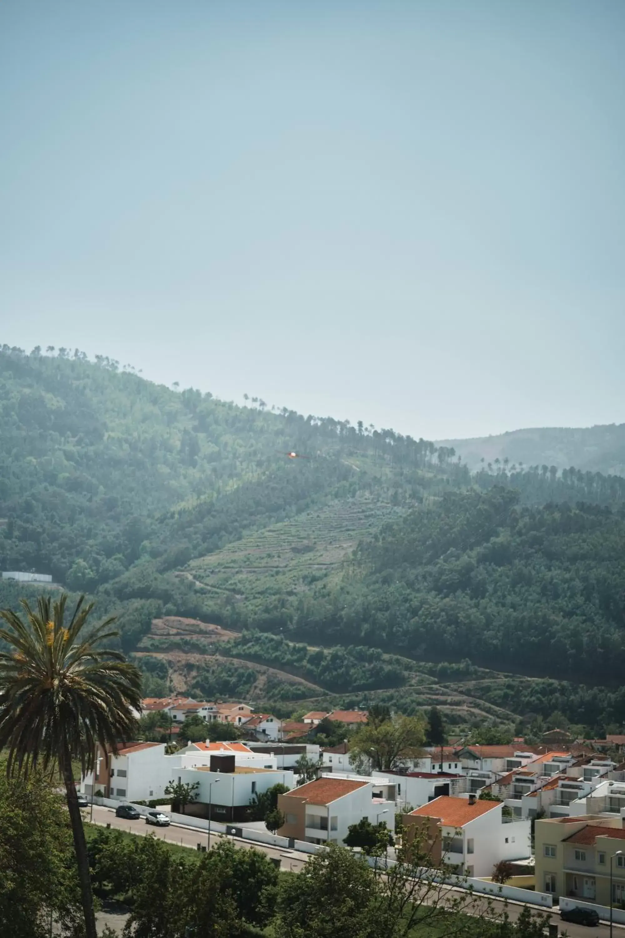 View (from property/room) in Octant Lousa