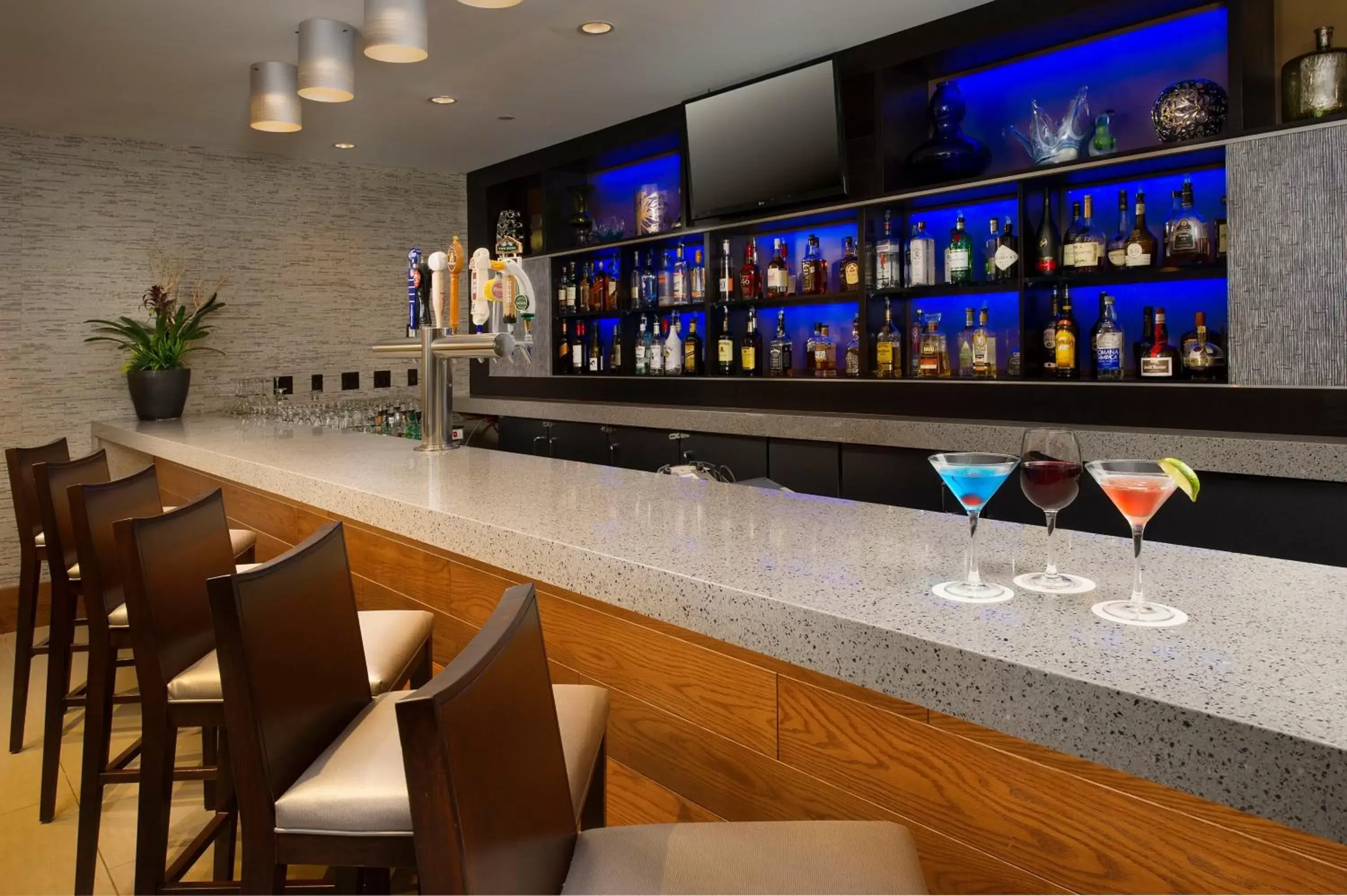 Lounge or bar, Lounge/Bar in Crowne Plaza Seattle Airport, an IHG Hotel