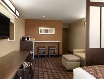 1 Queen Mobility/Hearing Access Room/Suite, Bathtub w/ Grab Bars, Non-Smoking in Microtel Inn & Suites by Wyndham Odessa TX