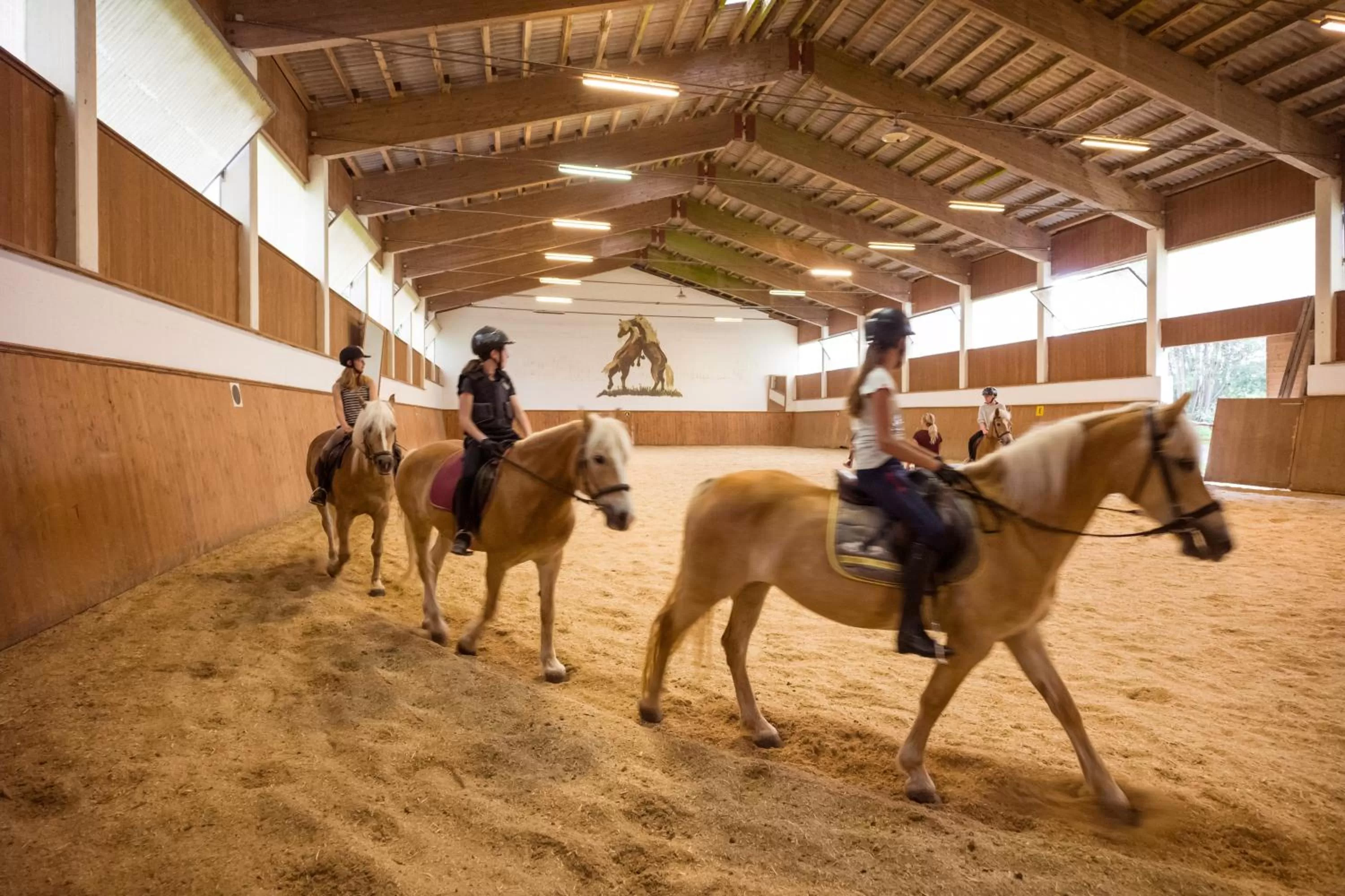Horse-riding in Hotel Haflingerhof