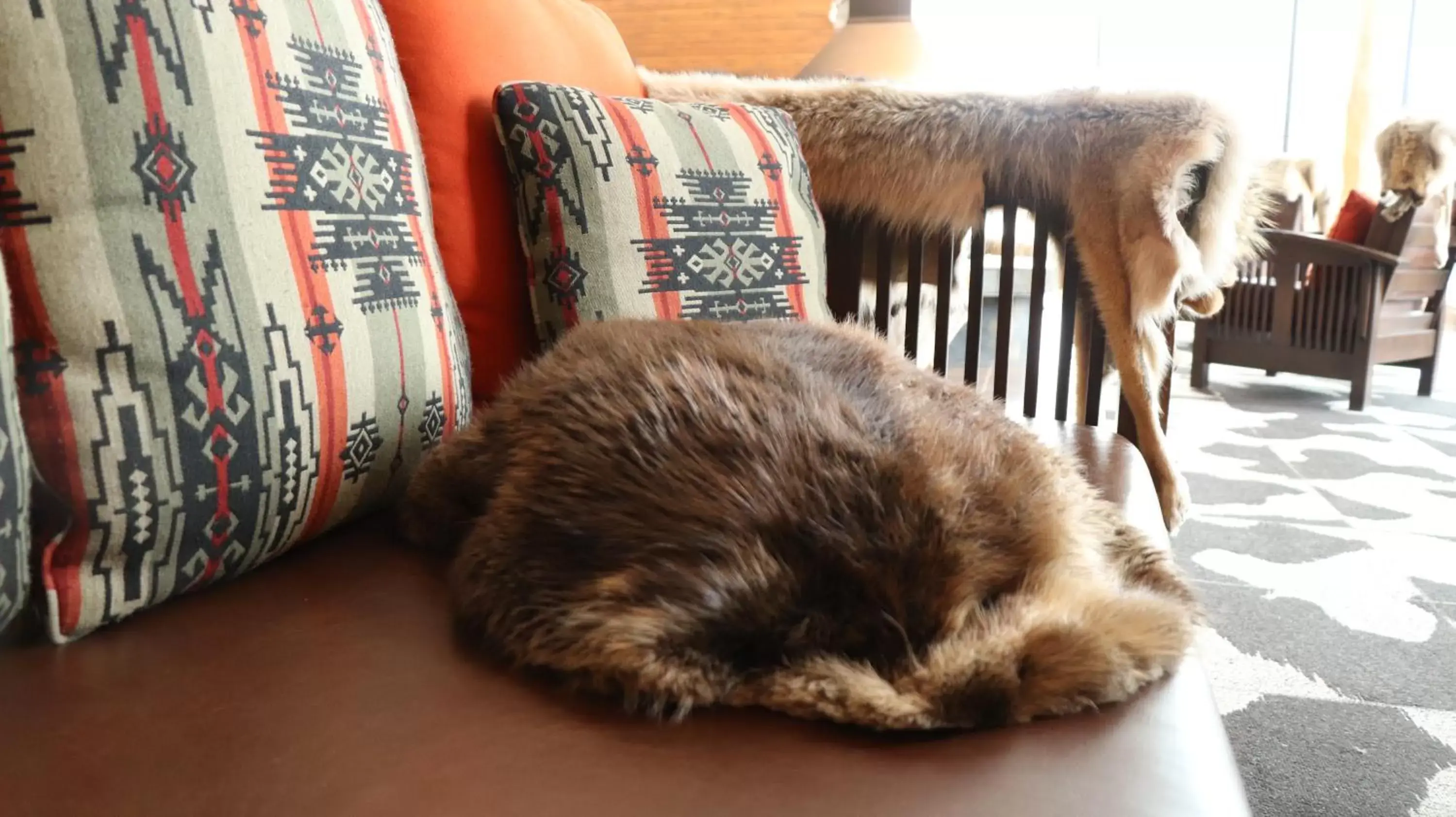 Lobby or reception, Pets in Hôtel-Musée Premières Nations