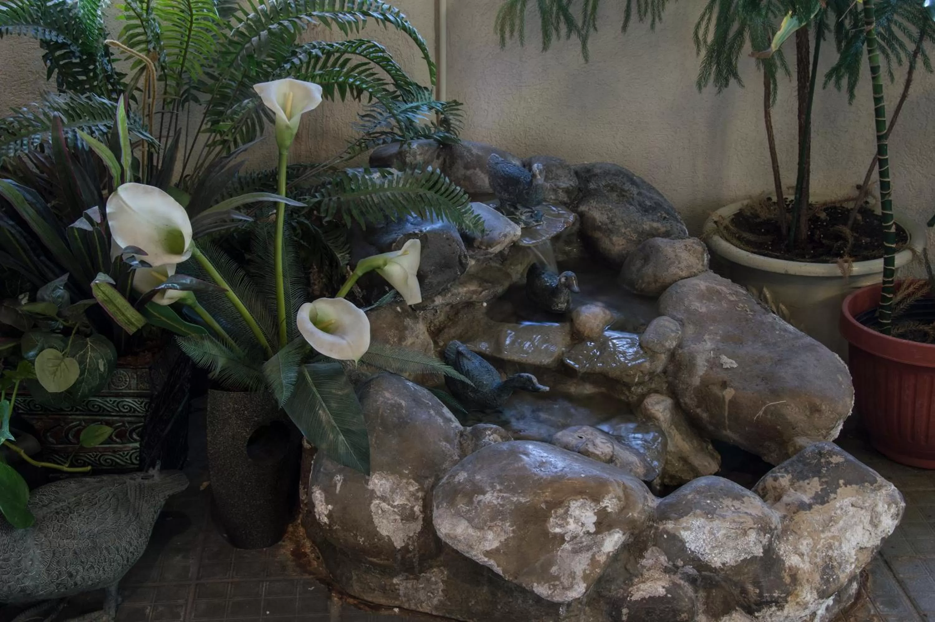 Garden in Days Inn by Wyndham Pittsburg KS