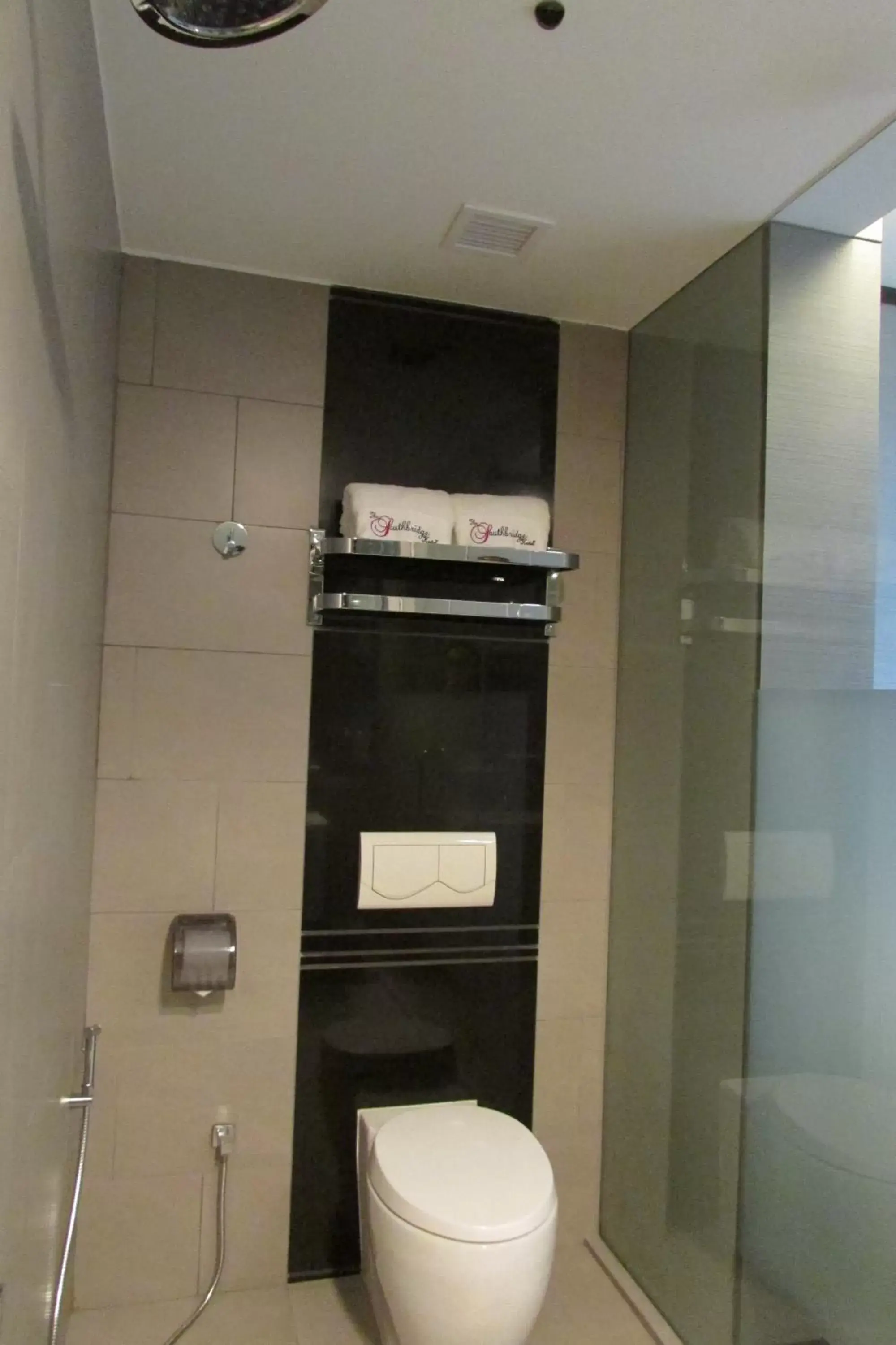 Toilet, Bathroom in The Southbridge Hotel