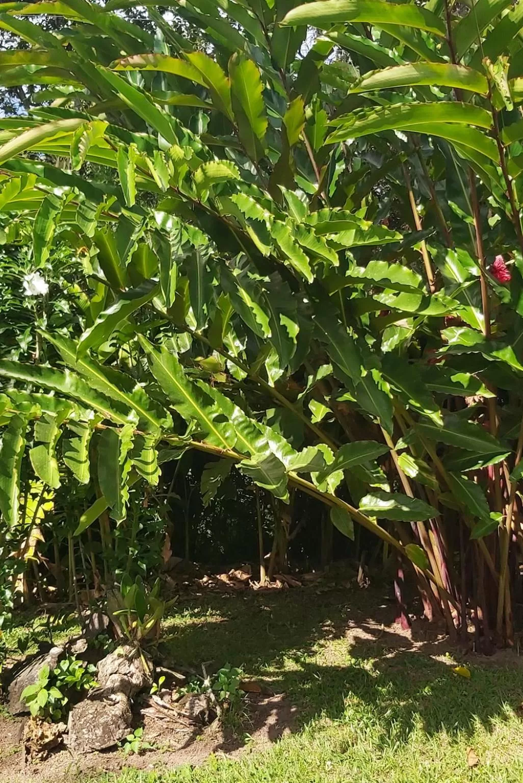 Natural landscape in Balsora Hotel Boutique