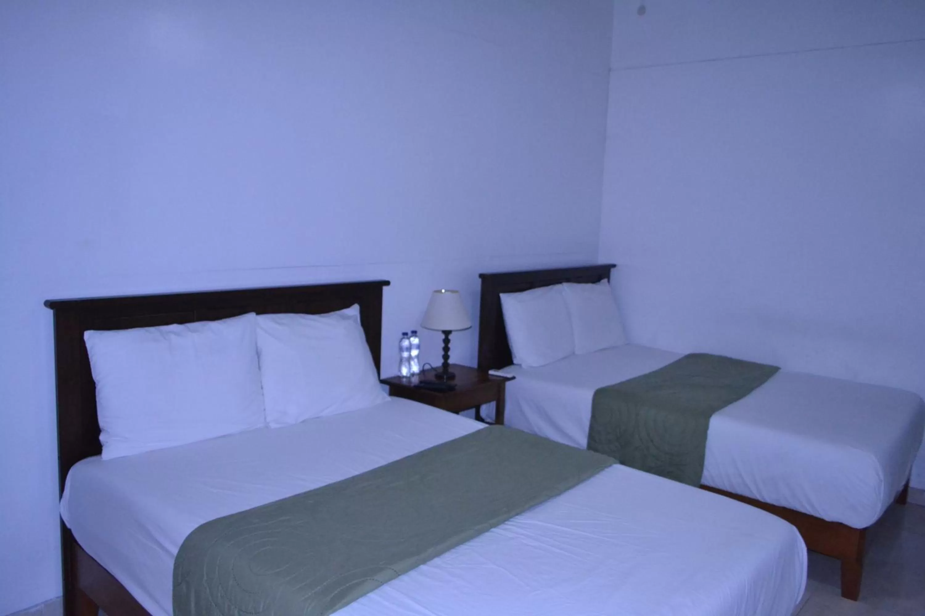 Bed in Habitation Des Lauriers