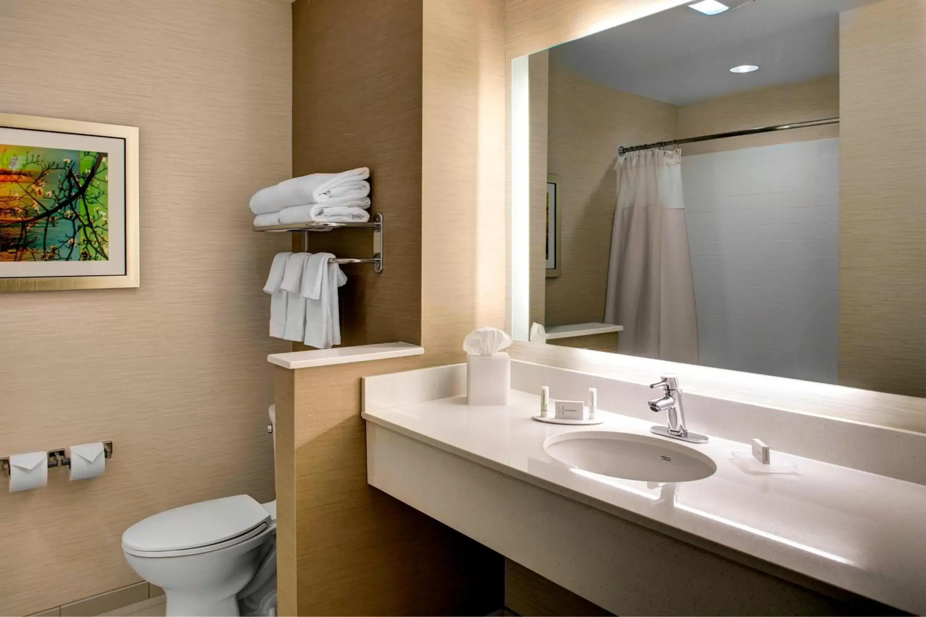 Bathroom in Fairfield Inn & Suites by Marriott Atlanta Stockbridge