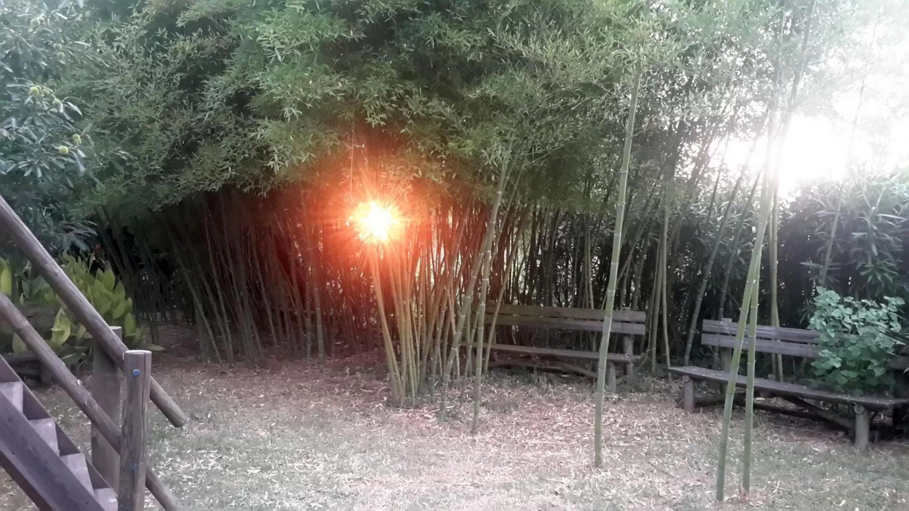 Garden in Casa 3 Águias