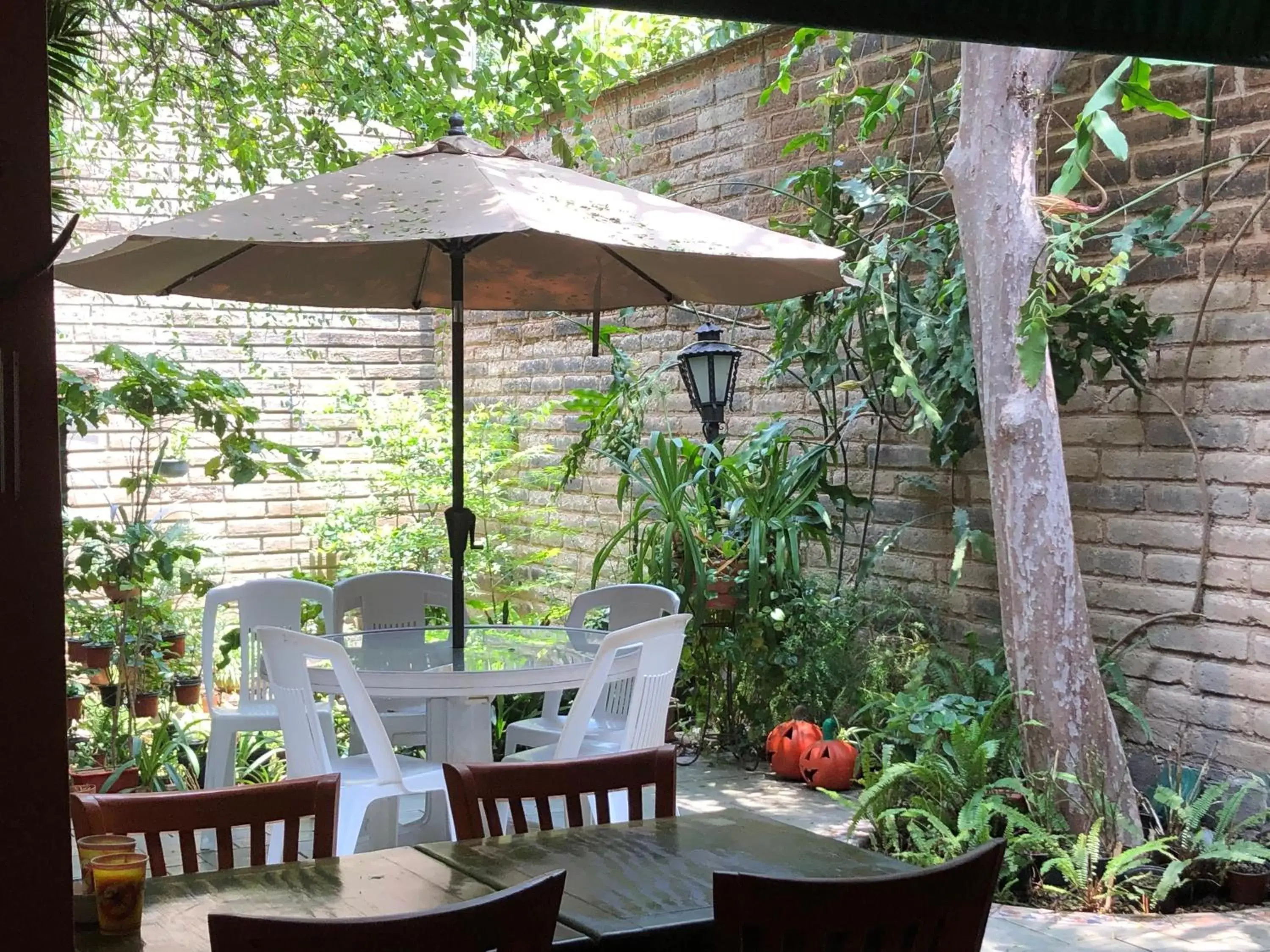 Patio in Casa del Retoño